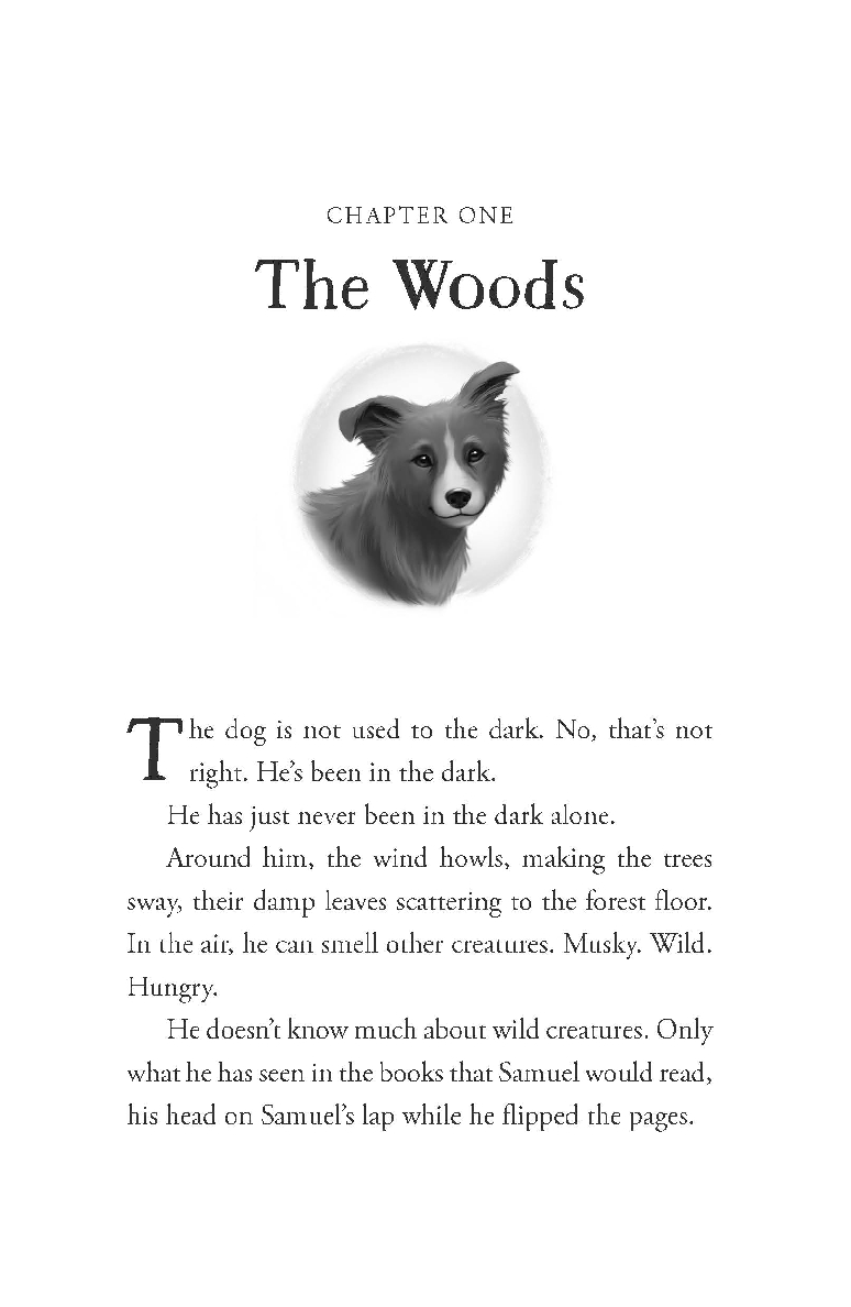 The Unlikely Tale of Chase and Finnegan
