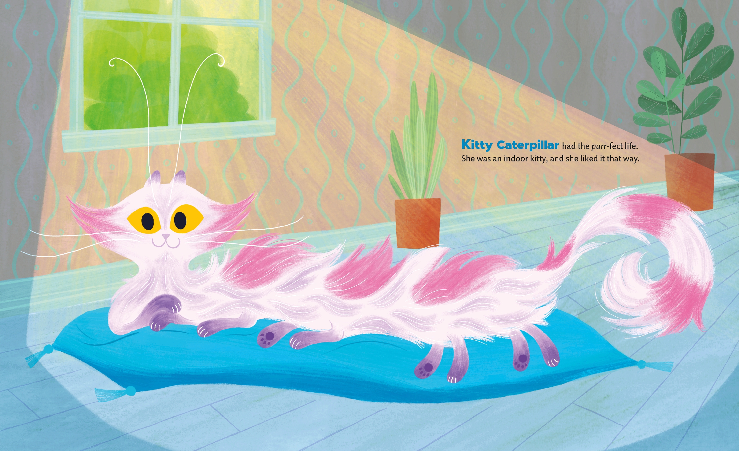 Kitty Caterpillar