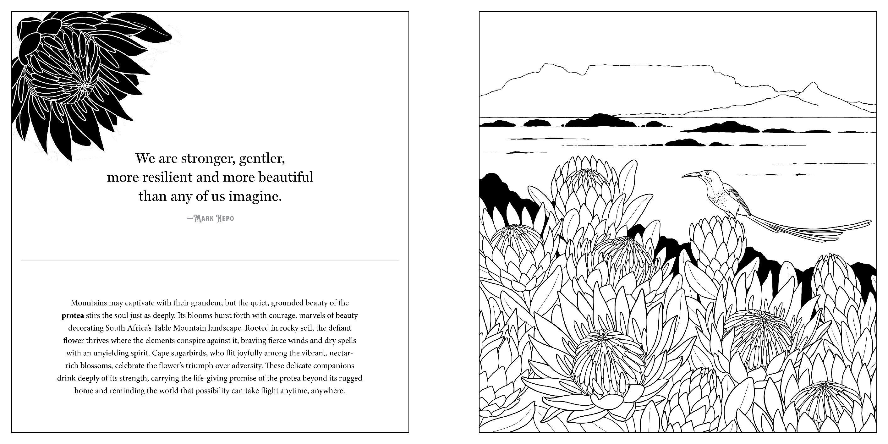 Floriographic: World of Flowers