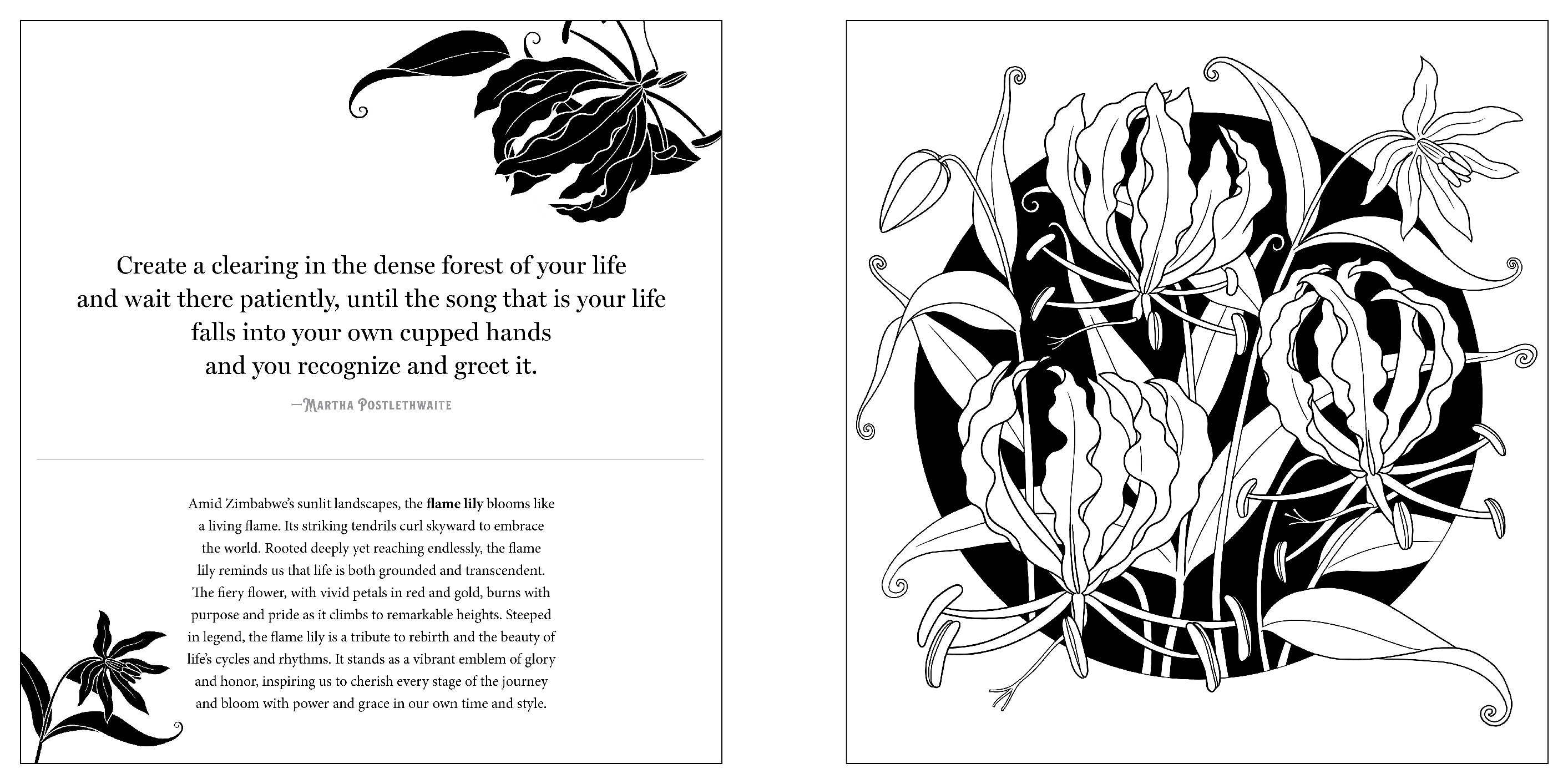 Floriographic: World of Flowers