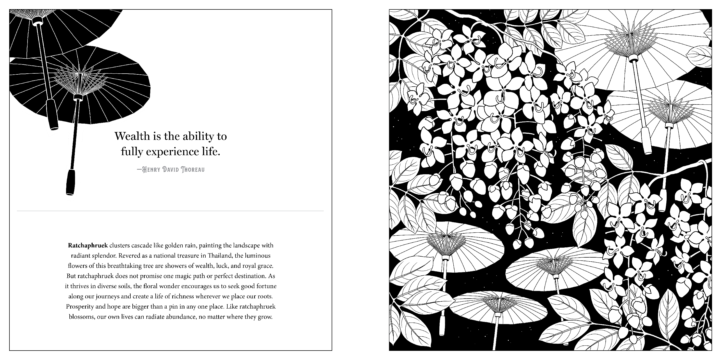 Floriographic: World of Flowers