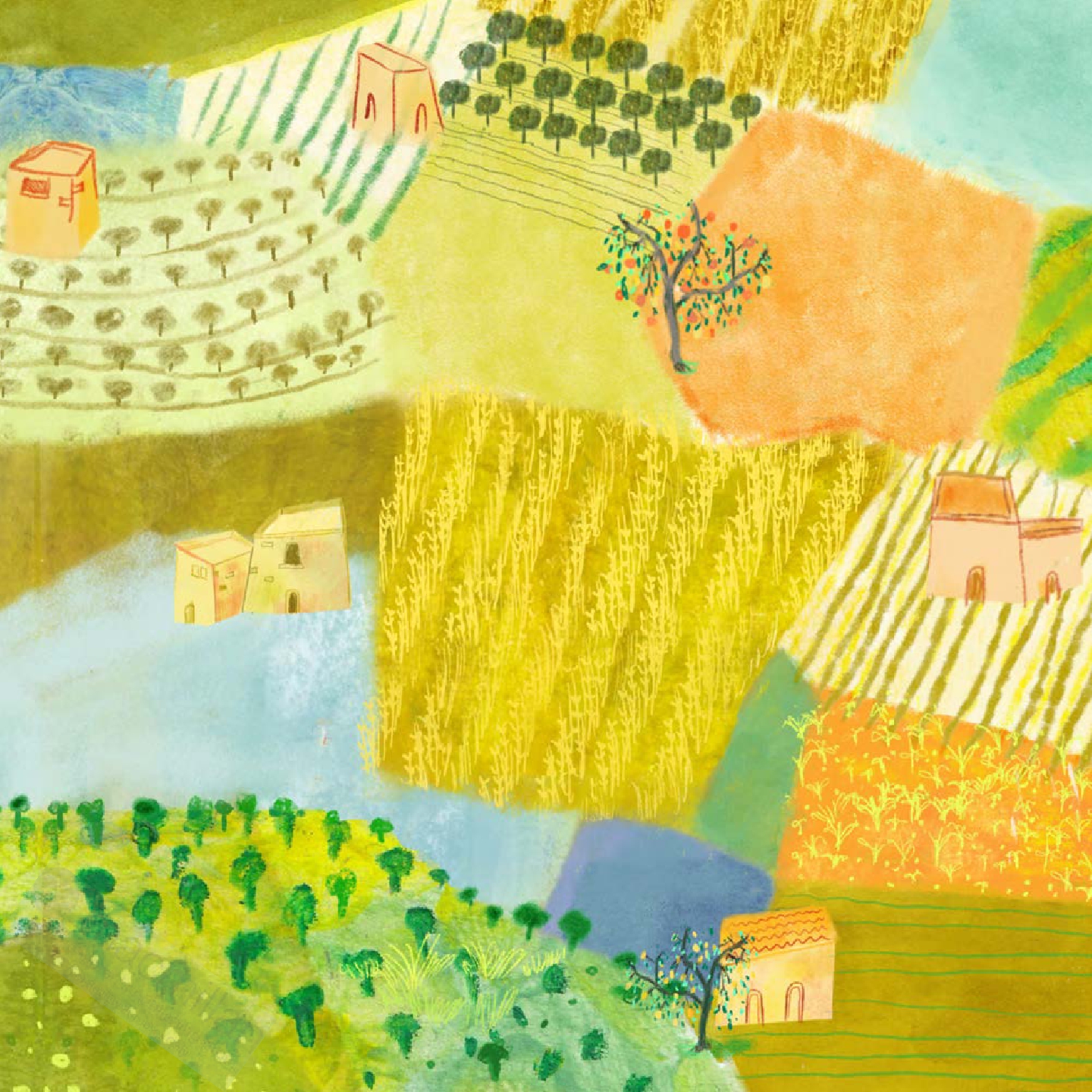 A Trip for Falasteen