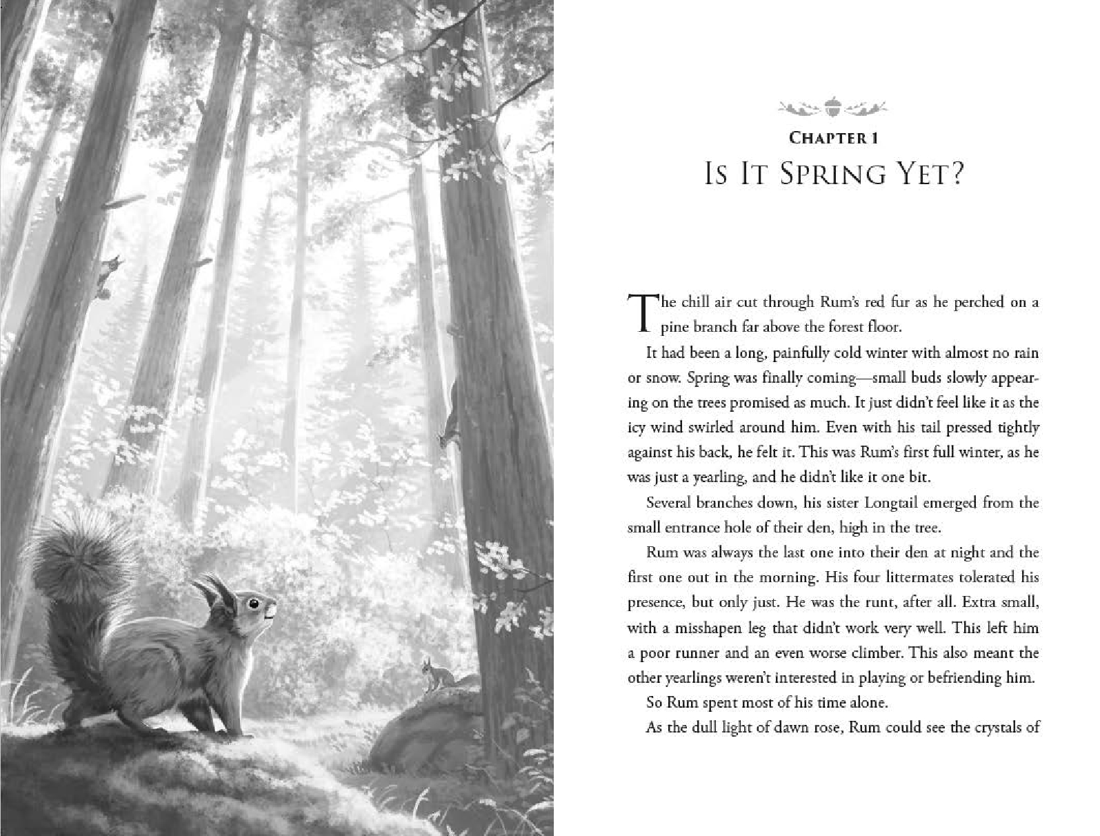 Sentinels: Keepers of the Forest