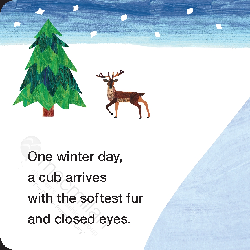 Polar Bear and Friends Welcome Winter