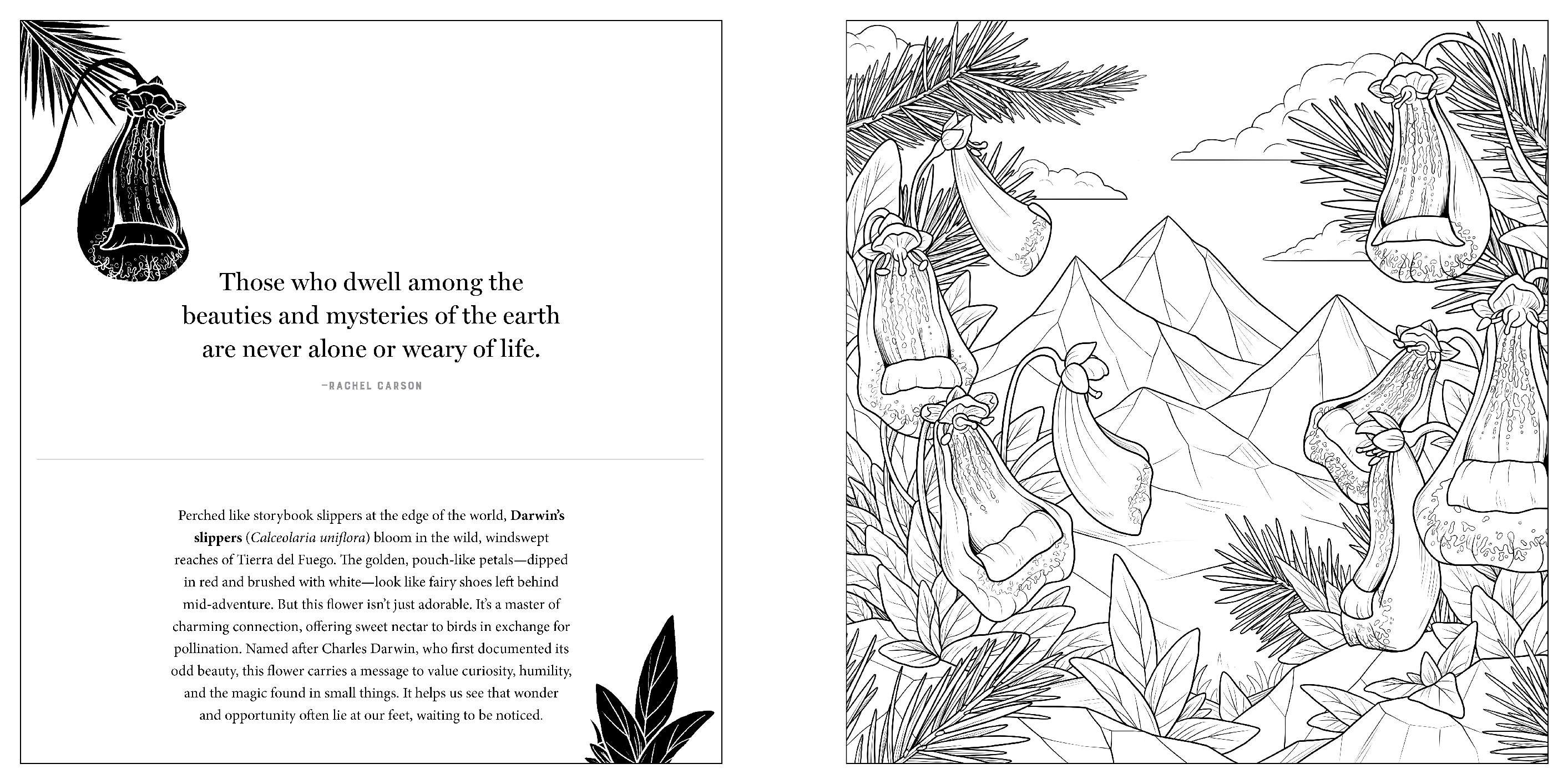 Floriographic: Freaky and Fascinating