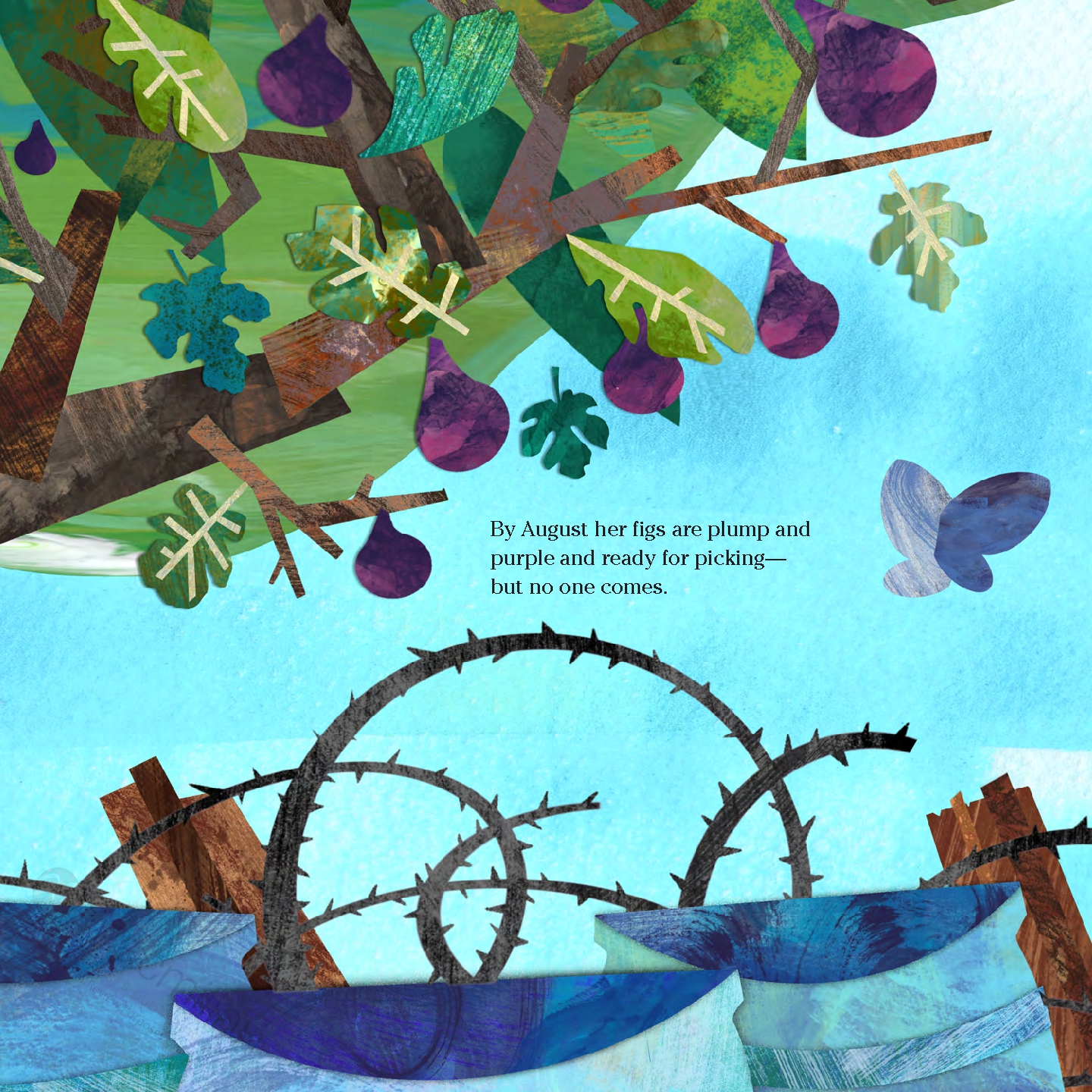 The Fig Tree