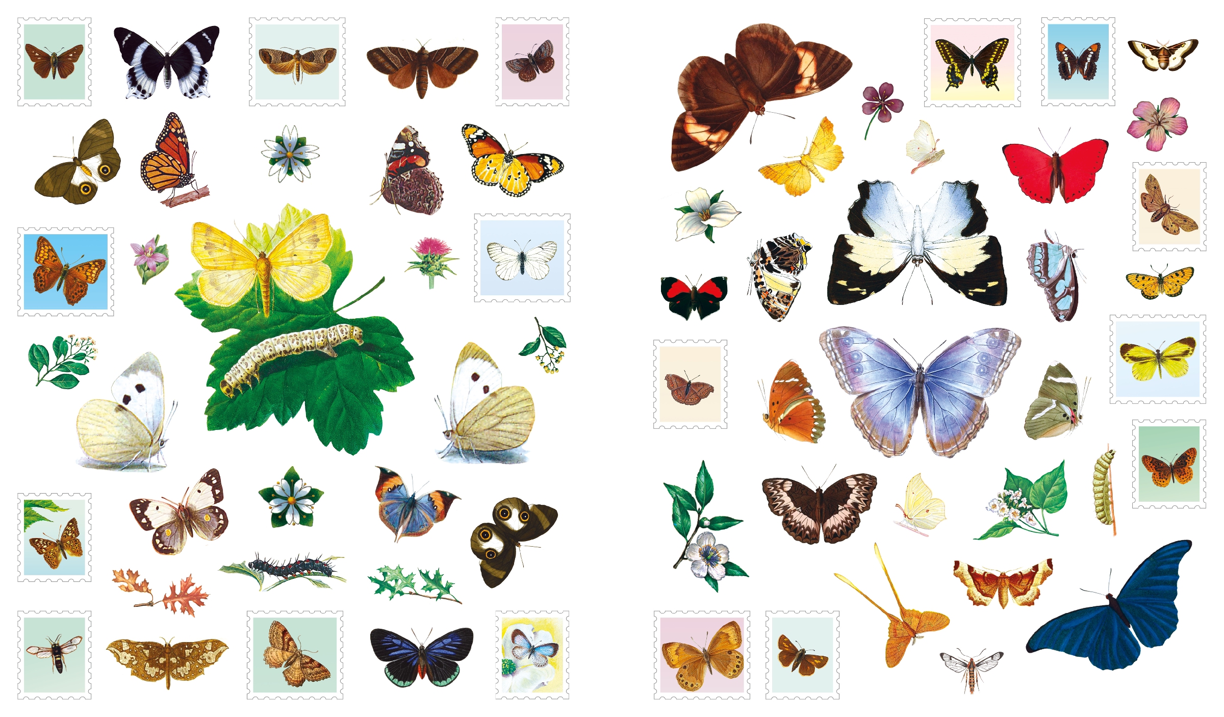Outdoor School: Spot & Sticker Butterflies & Moths
