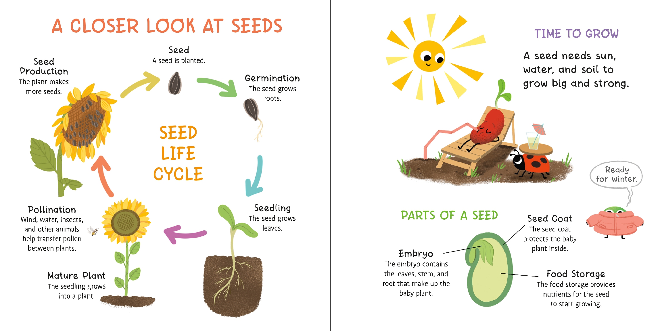 Little Seasons: Spring Seeds