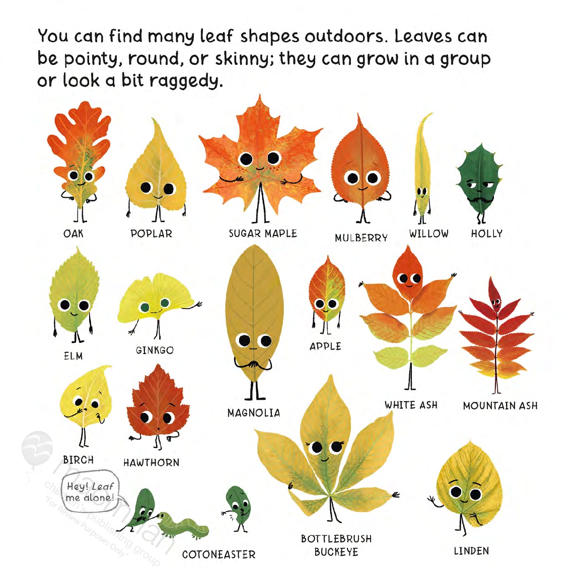 Little Seasons: Autumn Leaves