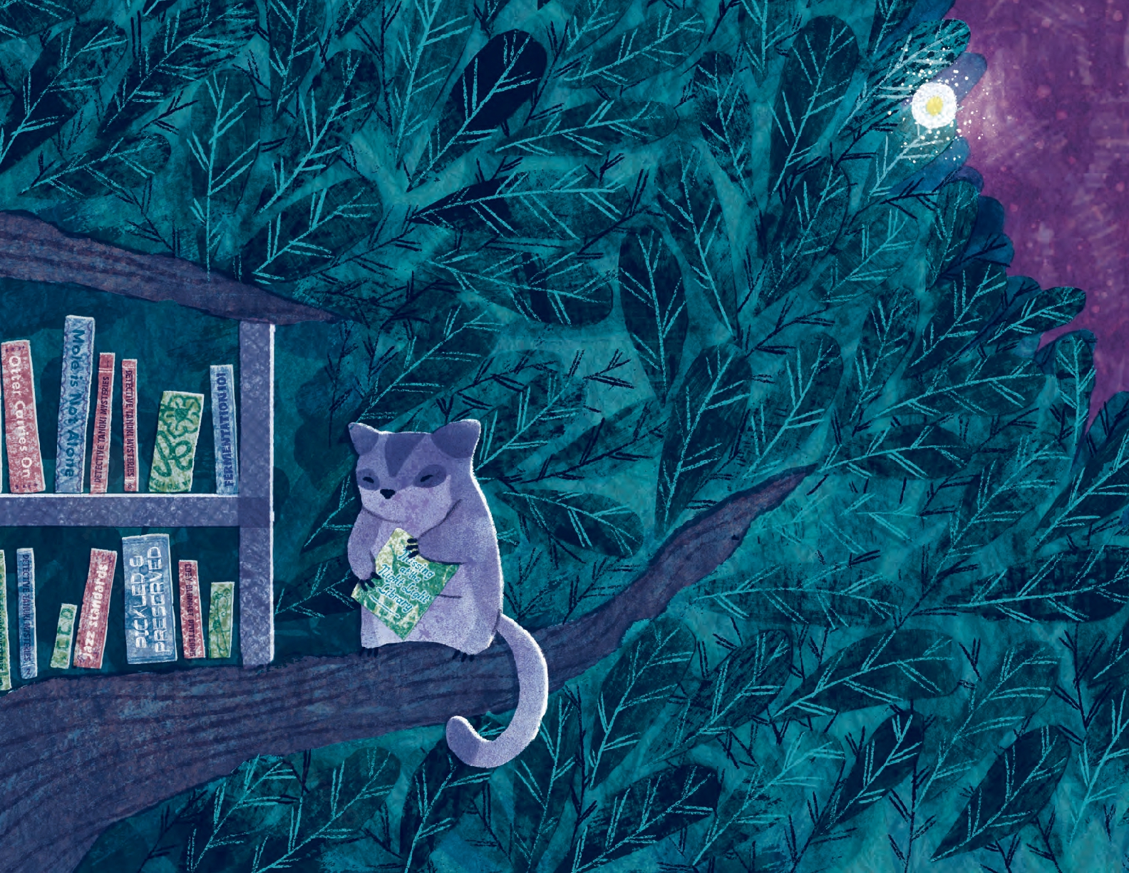 Sugar Glider Lights a Way