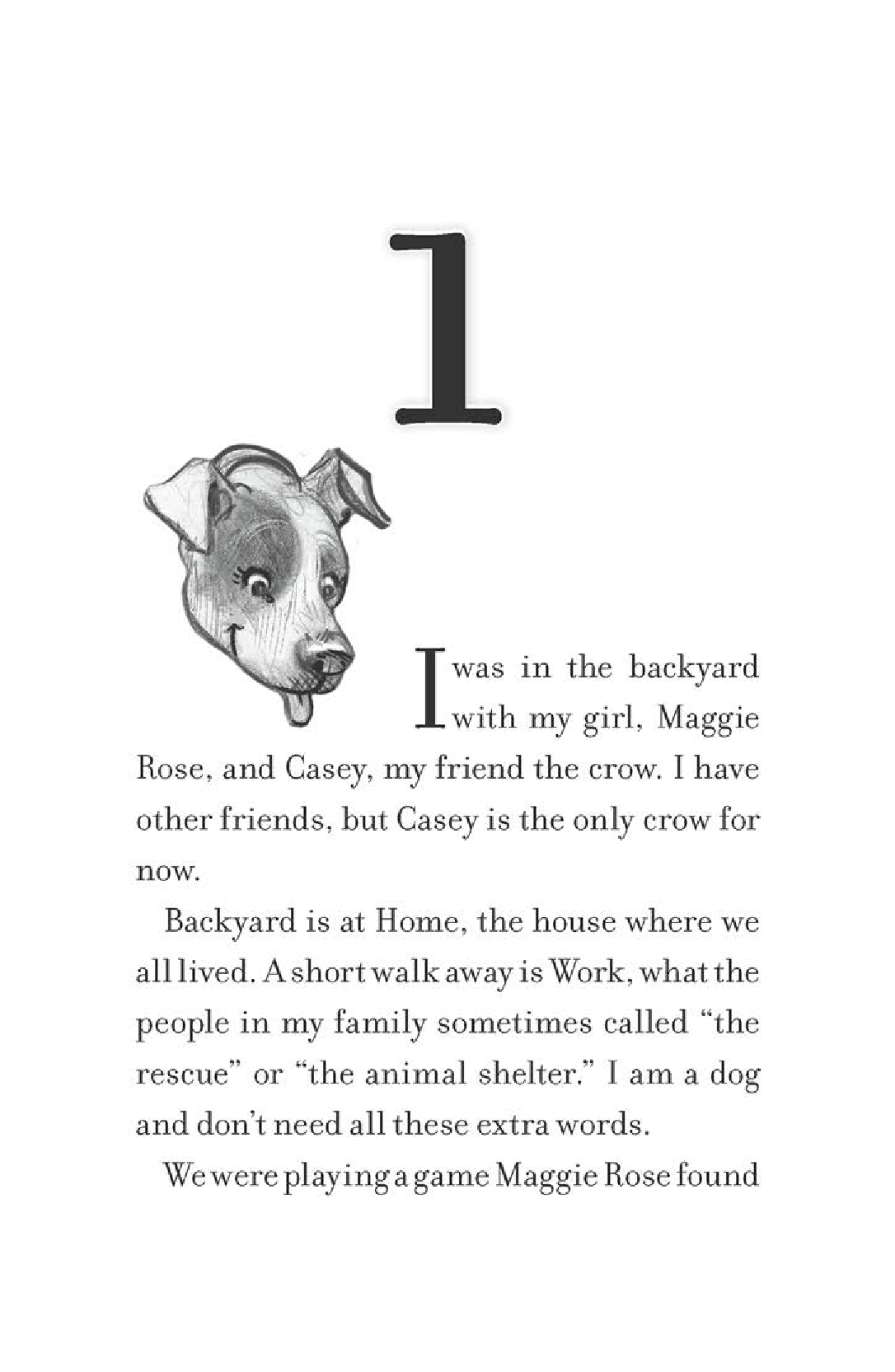 Lily to the Rescue: Doodle Dogs in Danger