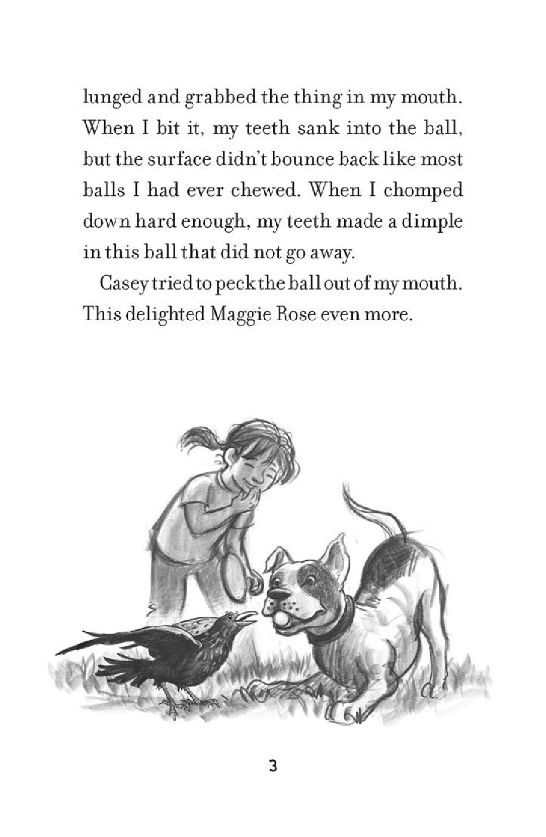 Lily to the Rescue: Doodle Dogs in Danger