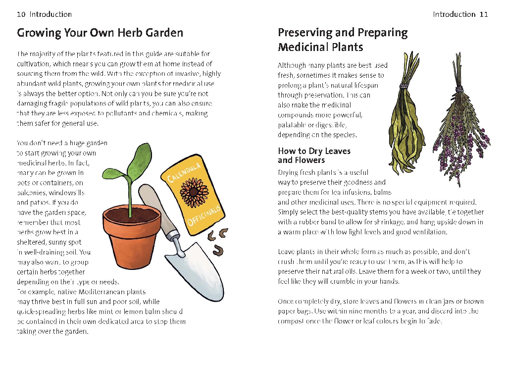 Concise Medicinal Plants Guide