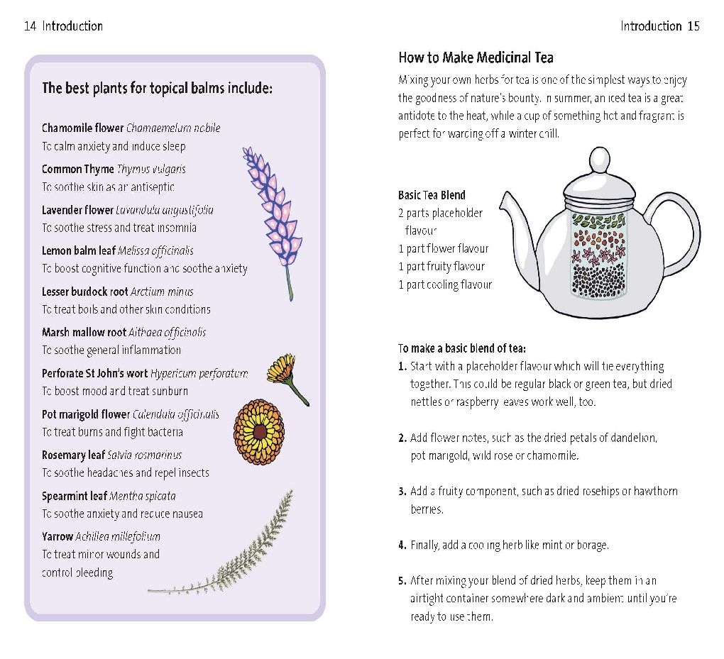 Concise Medicinal Plants Guide