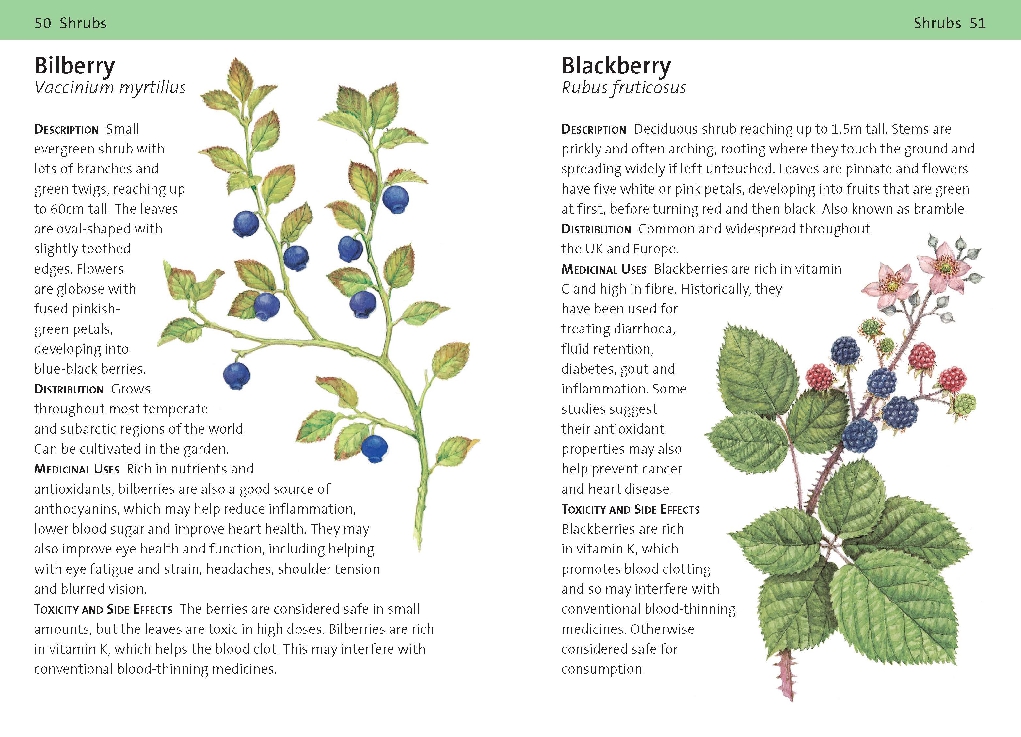 Concise Medicinal Plants Guide