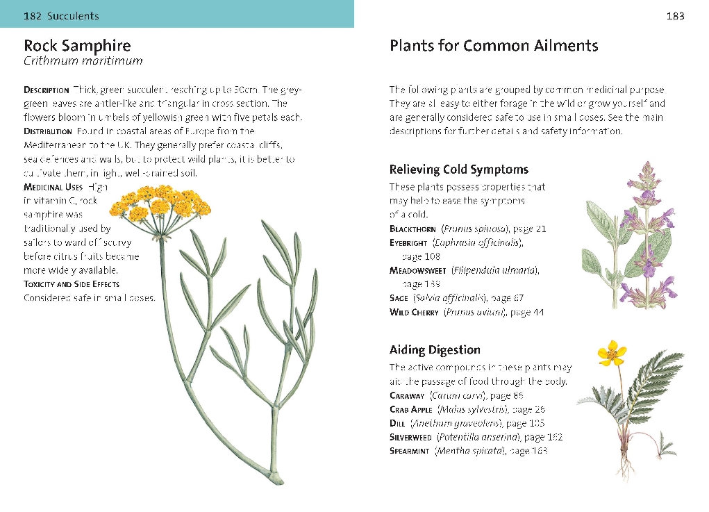 Concise Medicinal Plants Guide