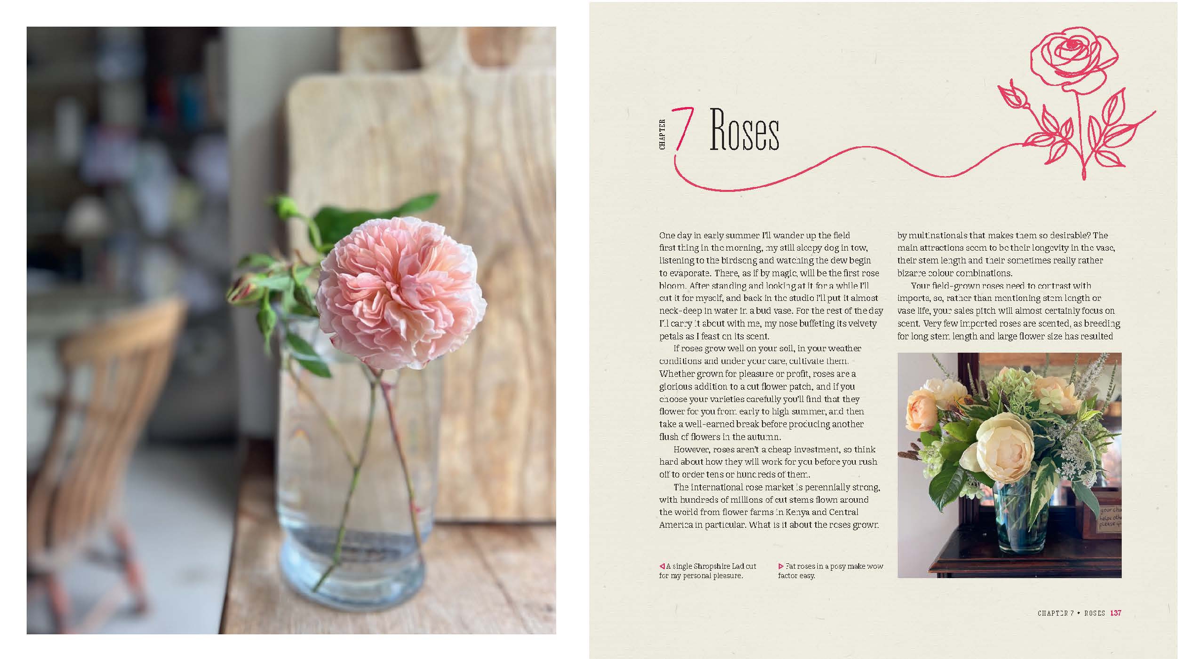 The Flower Farmer's Year