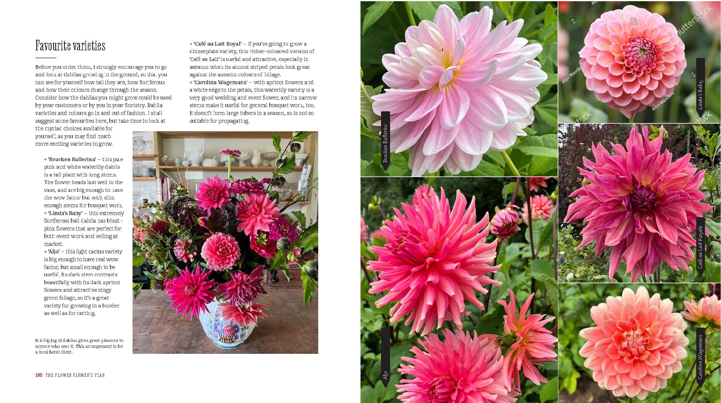 The Flower Farmer's Year