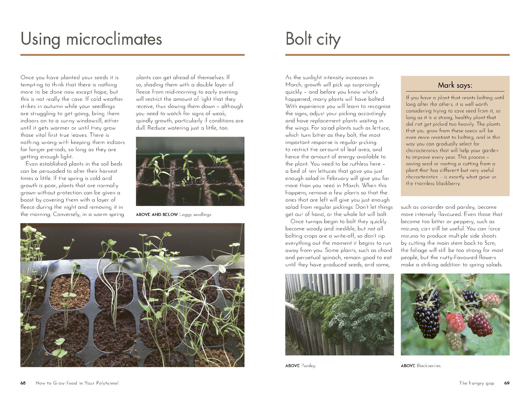 How to Grow Food in Your Polytunnel