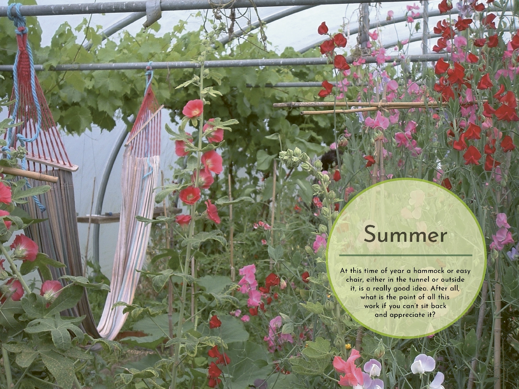 How to Grow Food in Your Polytunnel