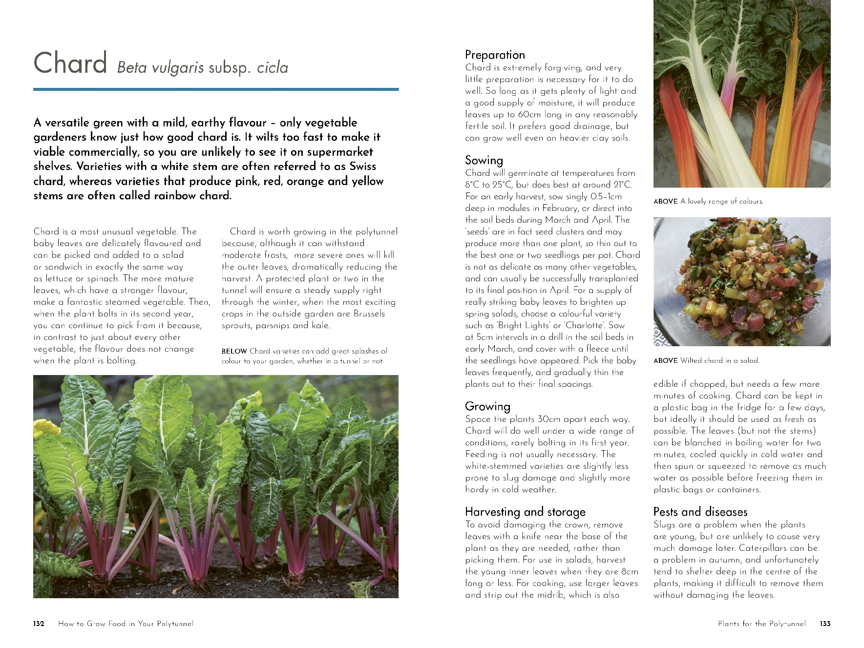 How to Grow Food in Your Polytunnel