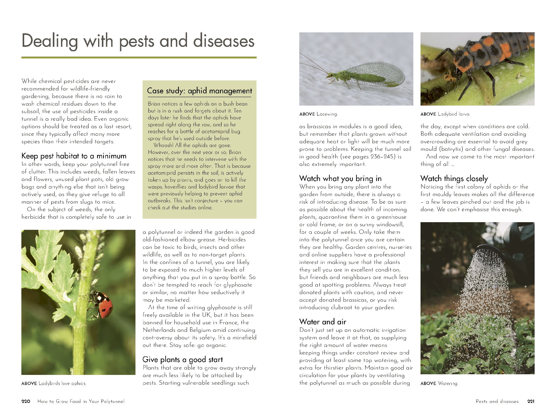 How to Grow Food in Your Polytunnel