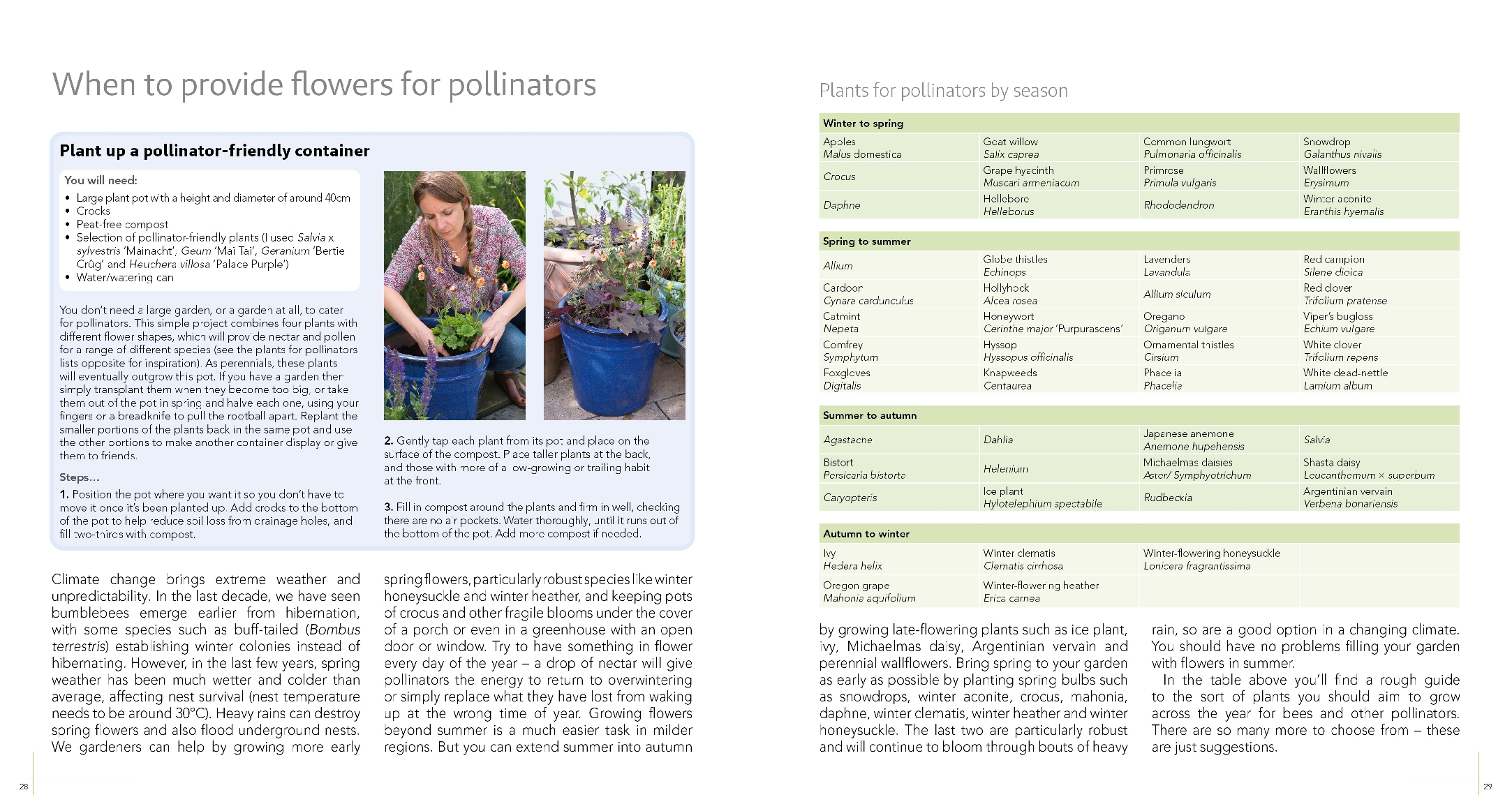 Wildlife Gardening For Everyone and Everything