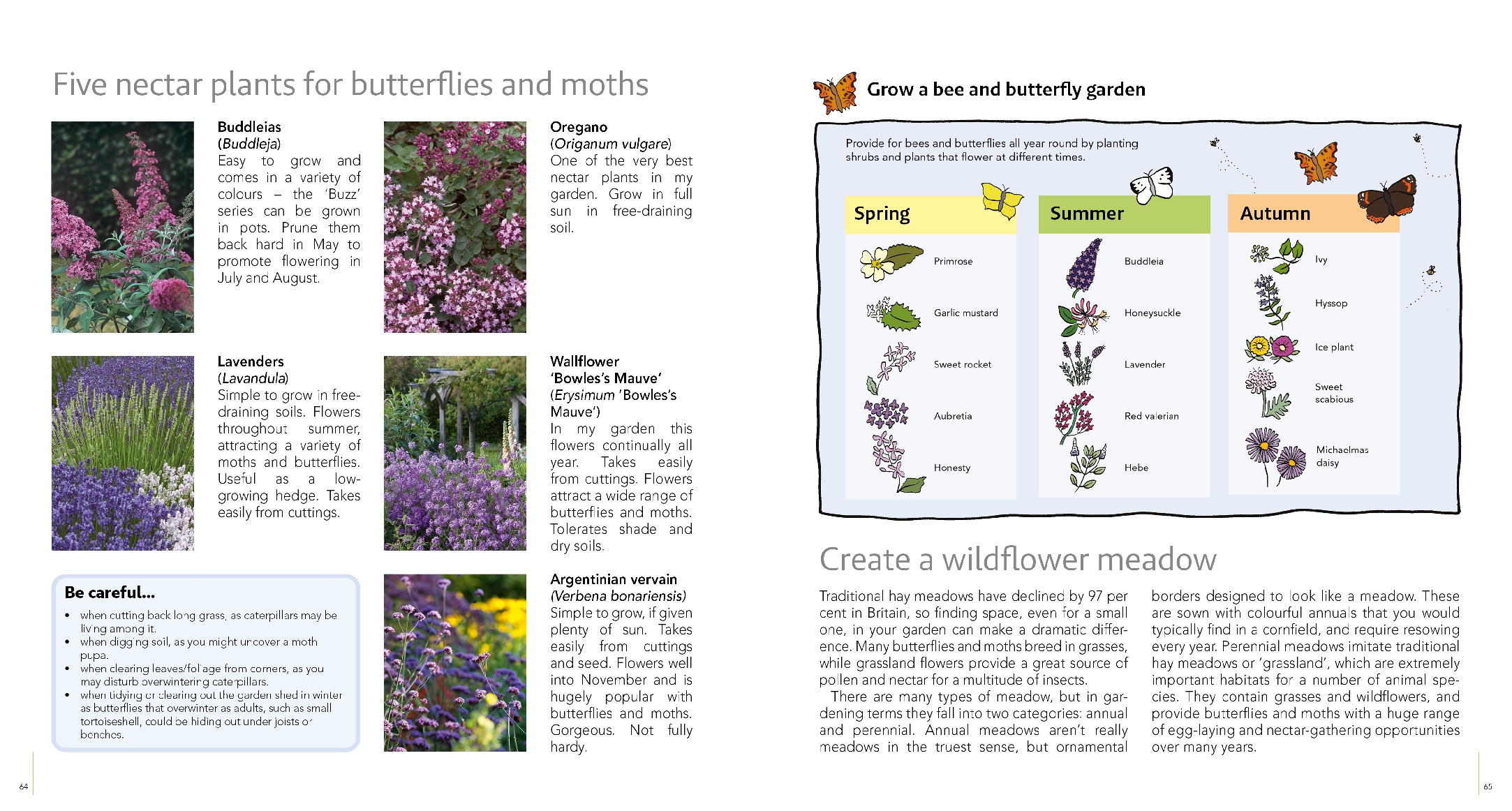Wildlife Gardening For Everyone and Everything