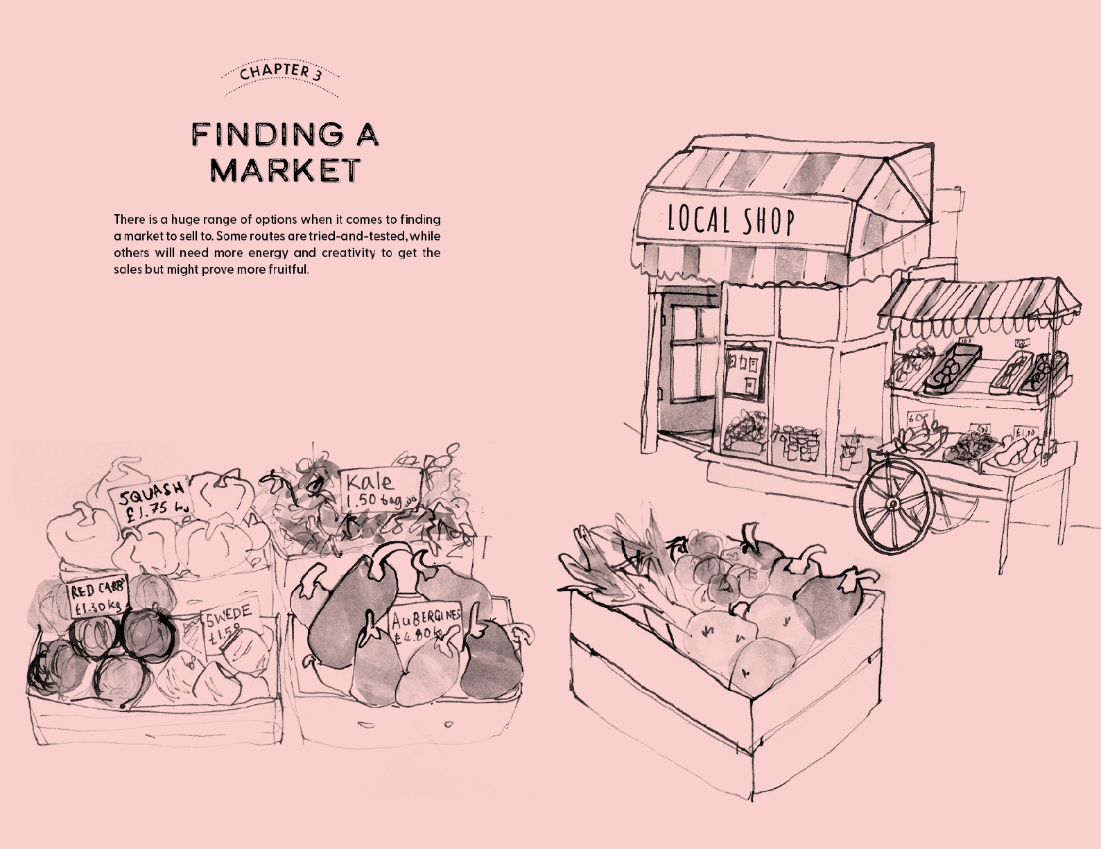 How to Start a Market Garden