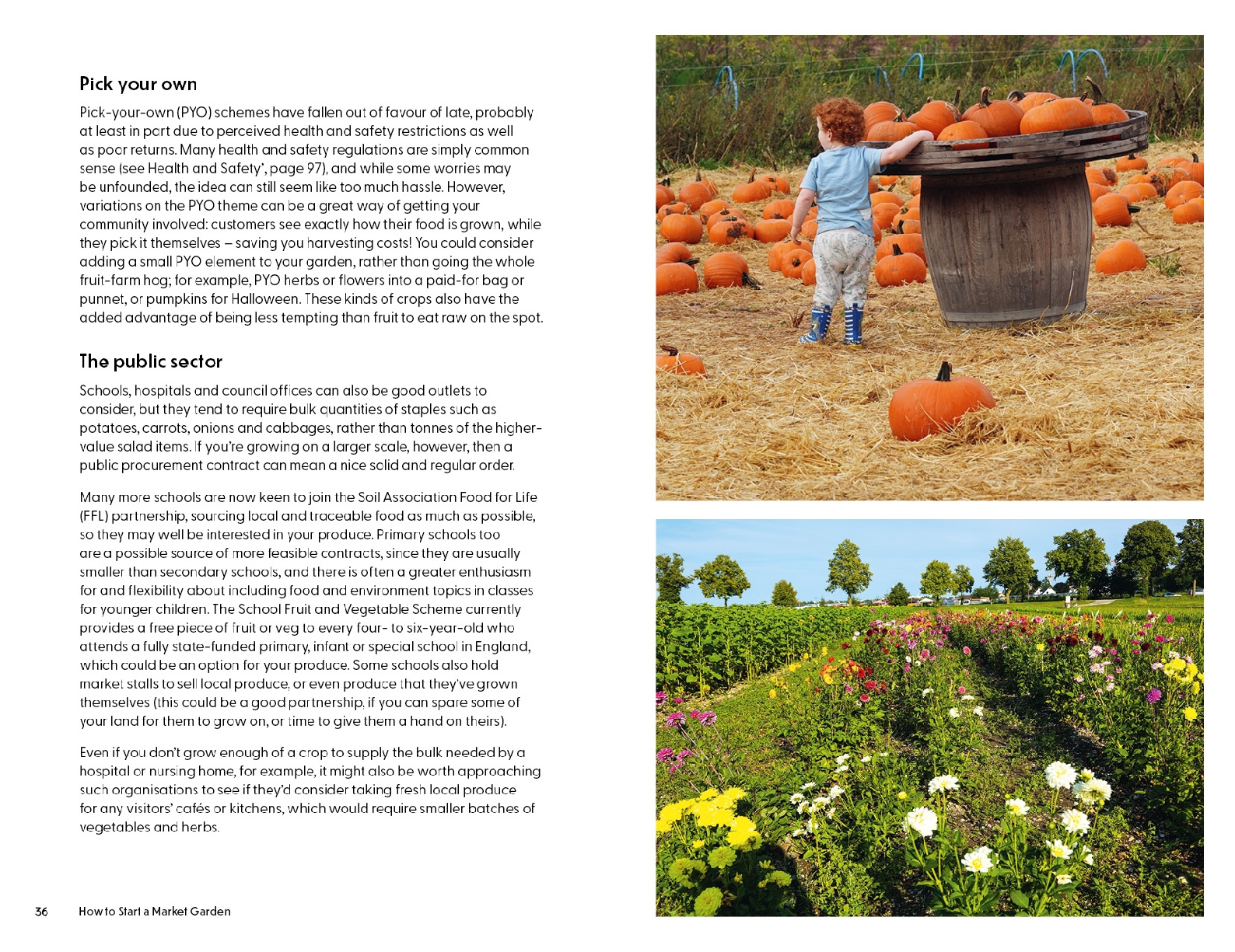 How to Start a Market Garden