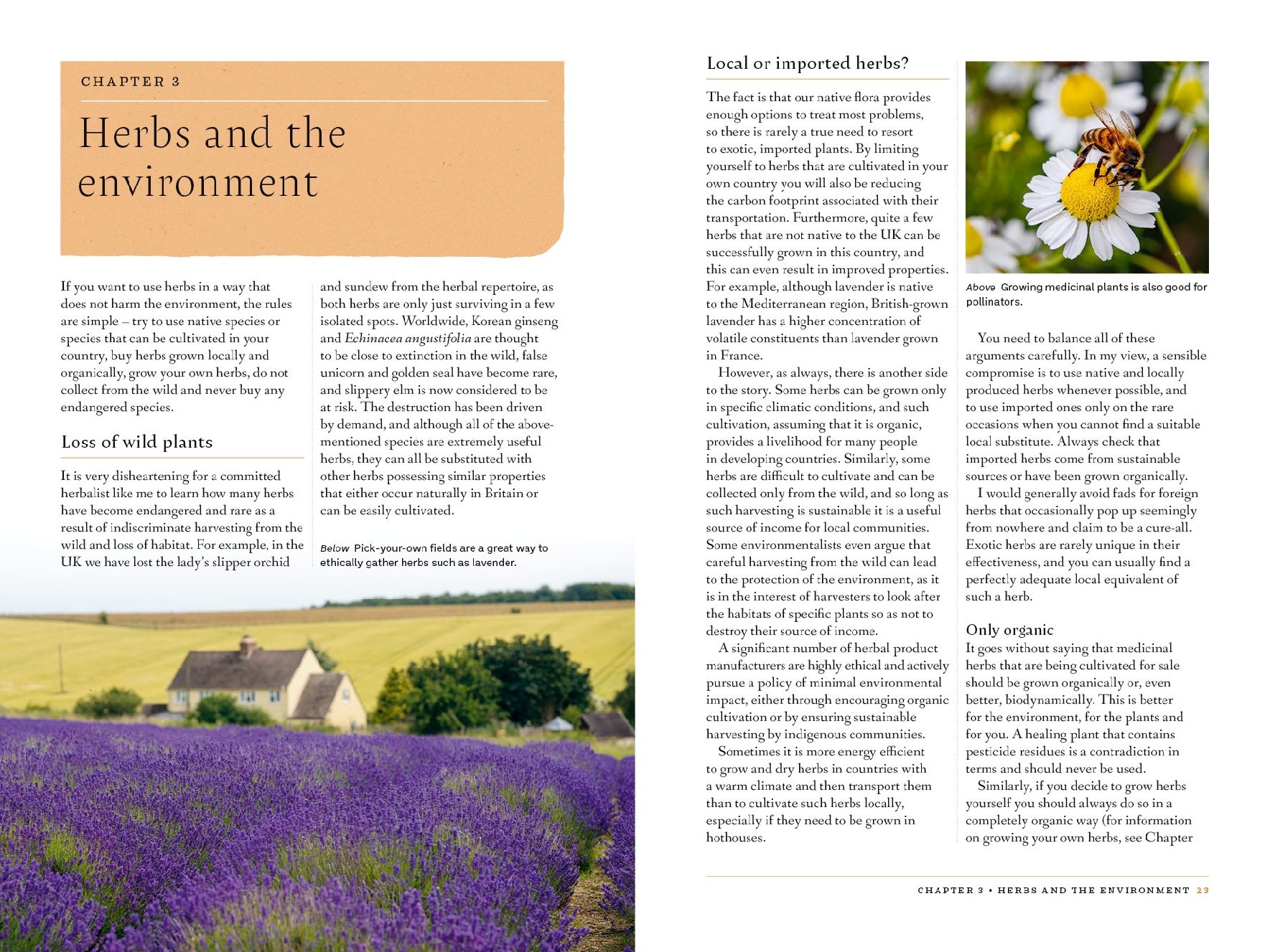 The Botanical Wellness Guide