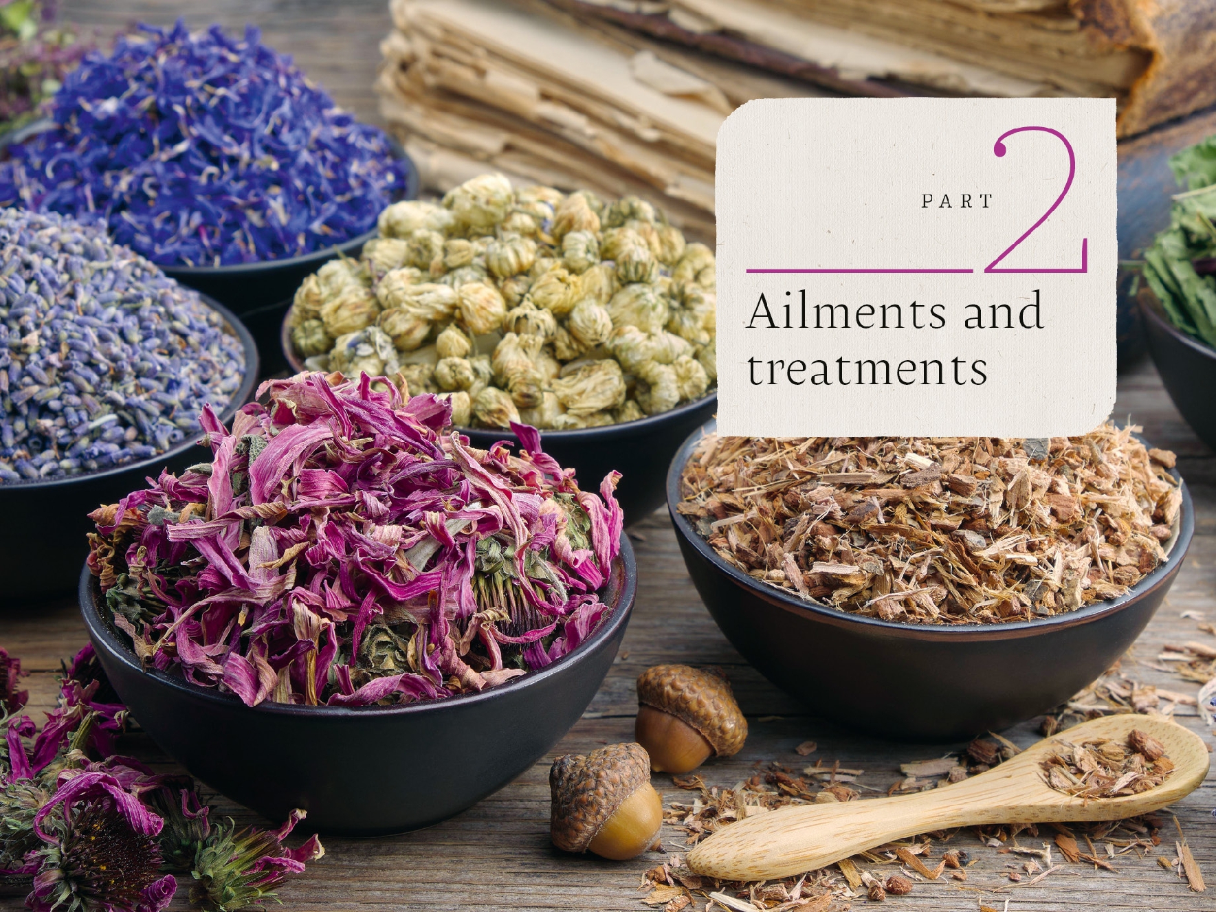 The Botanical Wellness Guide