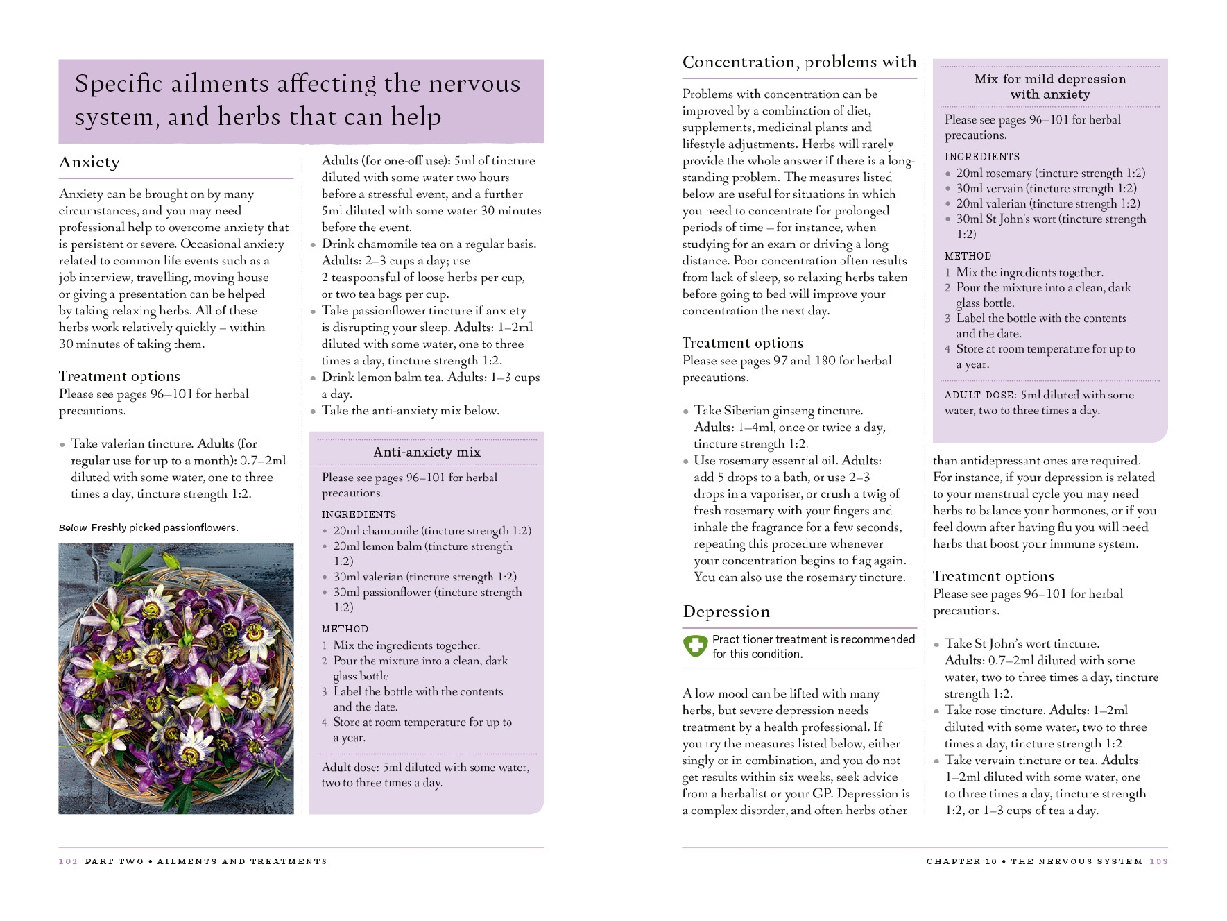 The Botanical Wellness Guide