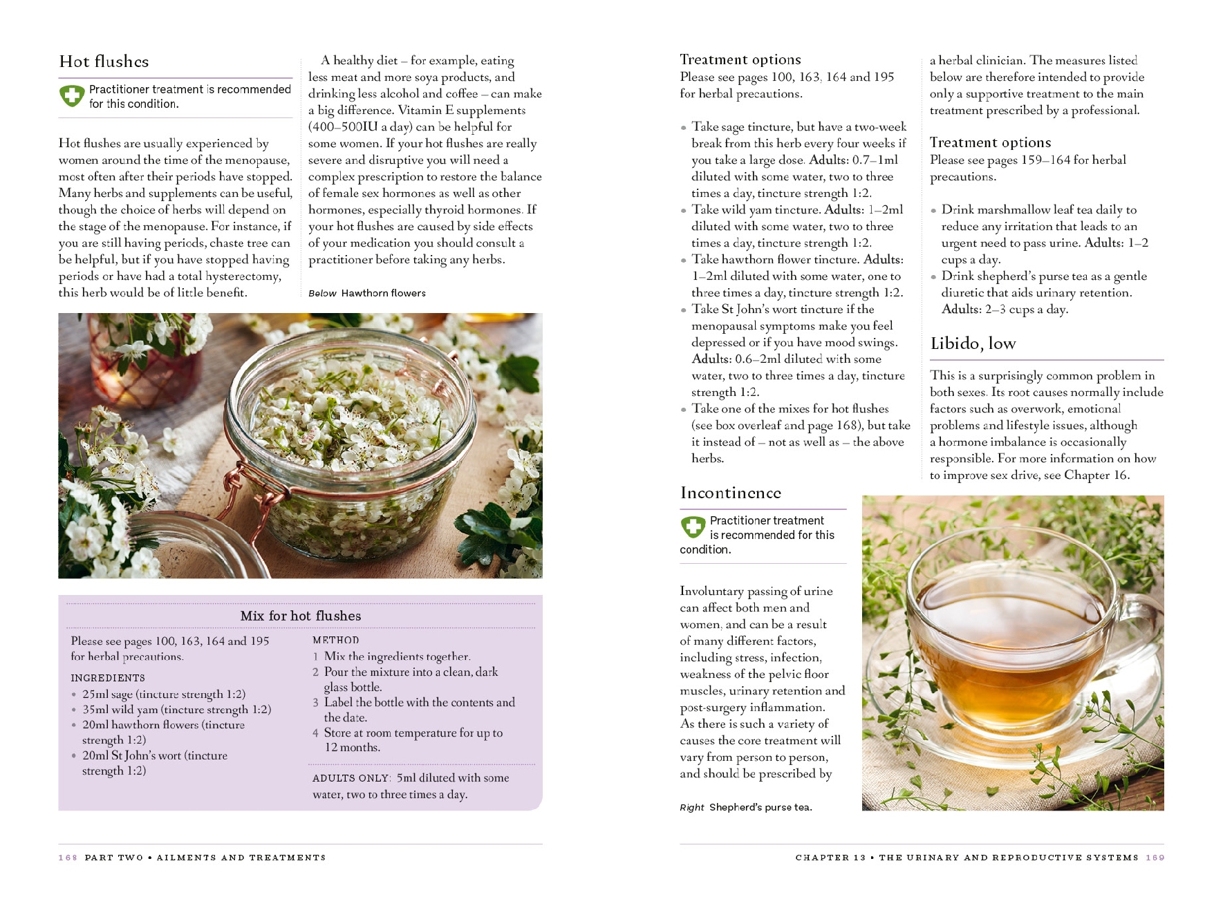 The Botanical Wellness Guide