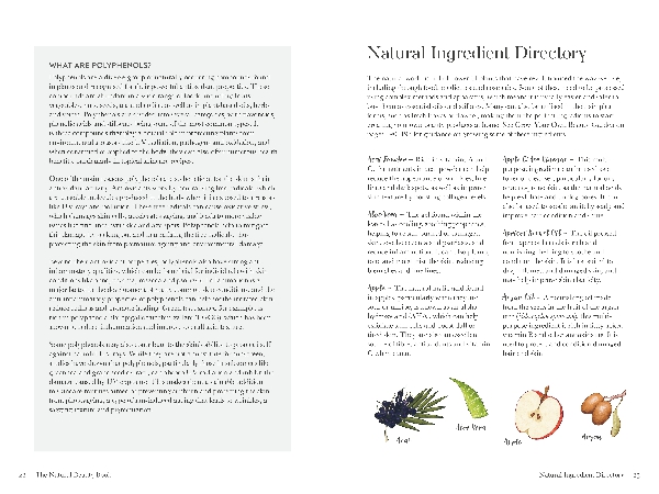 The Natural Beauty Book