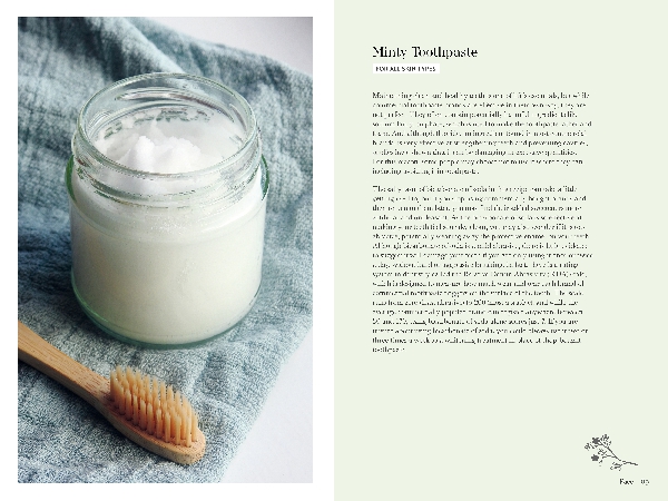 The Natural Beauty Book