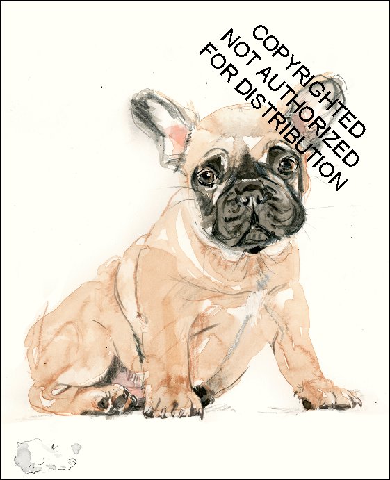 For the Love of Dogs: 20 Individual Notecards and Envelopes