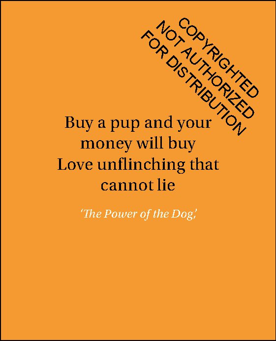 For the Love of Dogs: 20 Individual Notecards and Envelopes