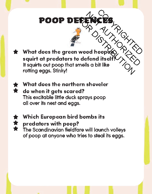 The Big Poop Quiz