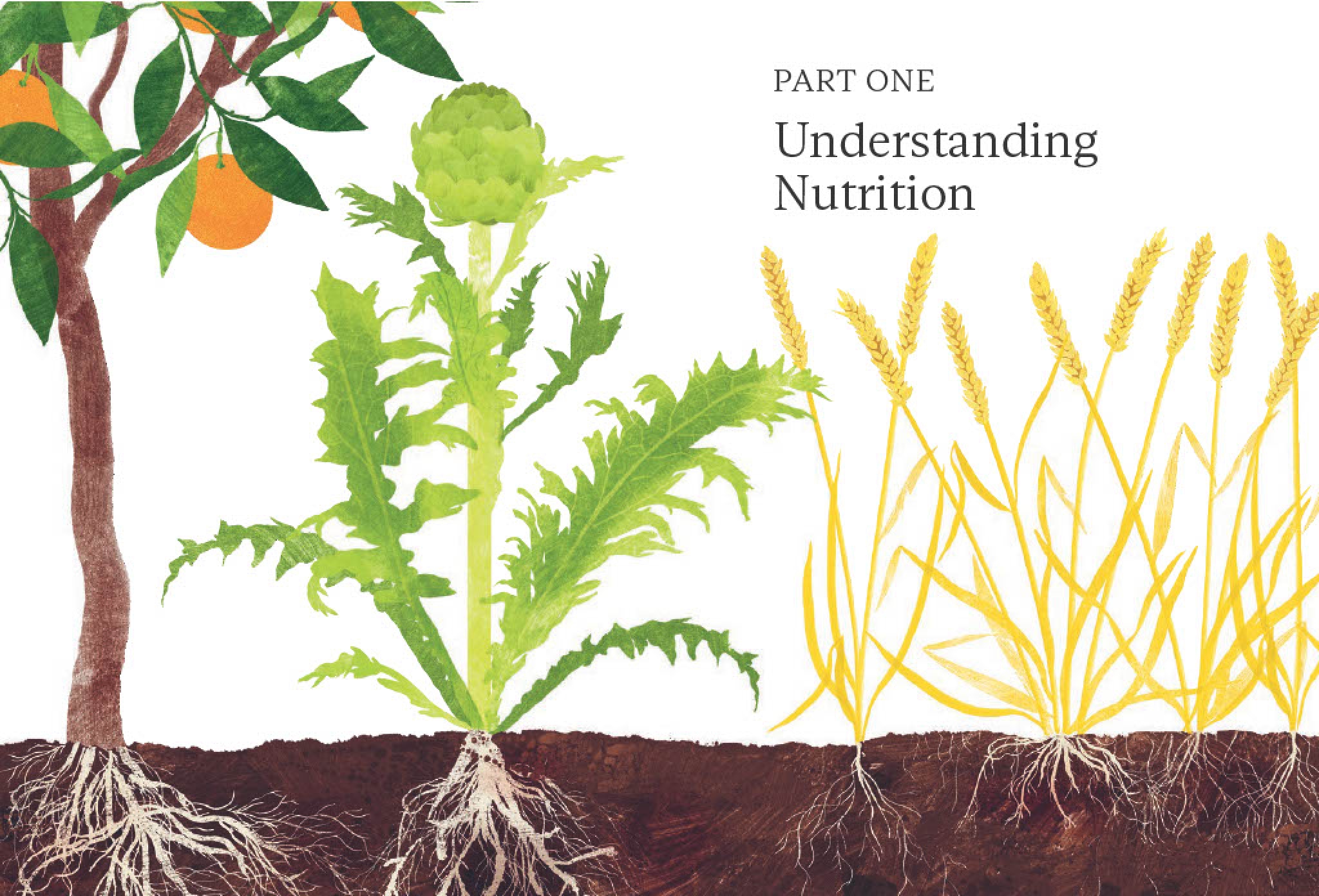 The Natural Supplement and Nutrition Guide