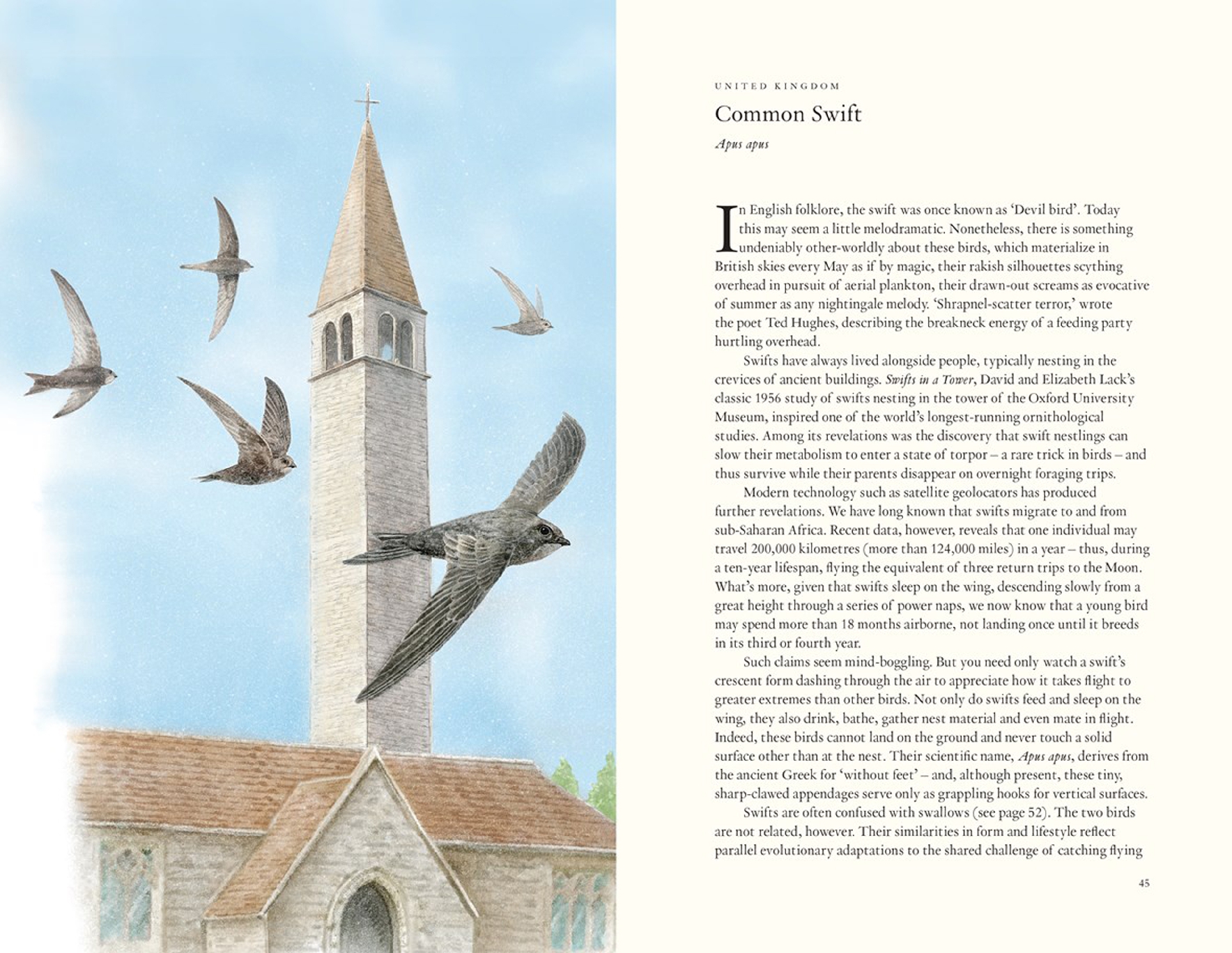 Around the World in 80 Birds