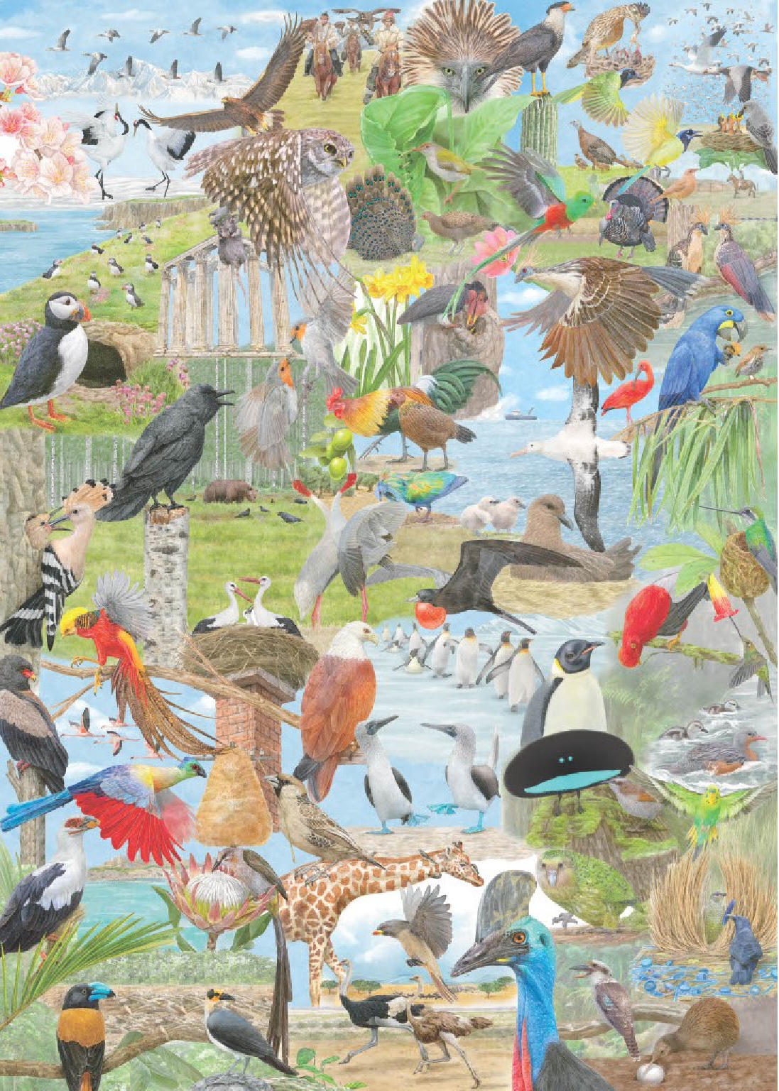 Around the World in 50 Birds 1000 Piece Puzzle