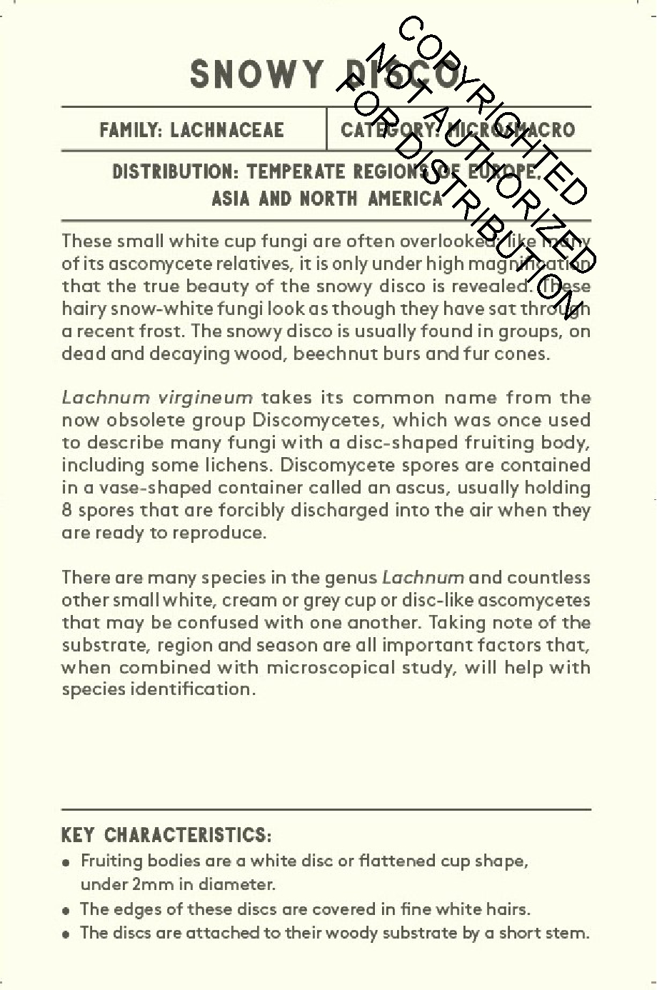The Mushroom Compendium