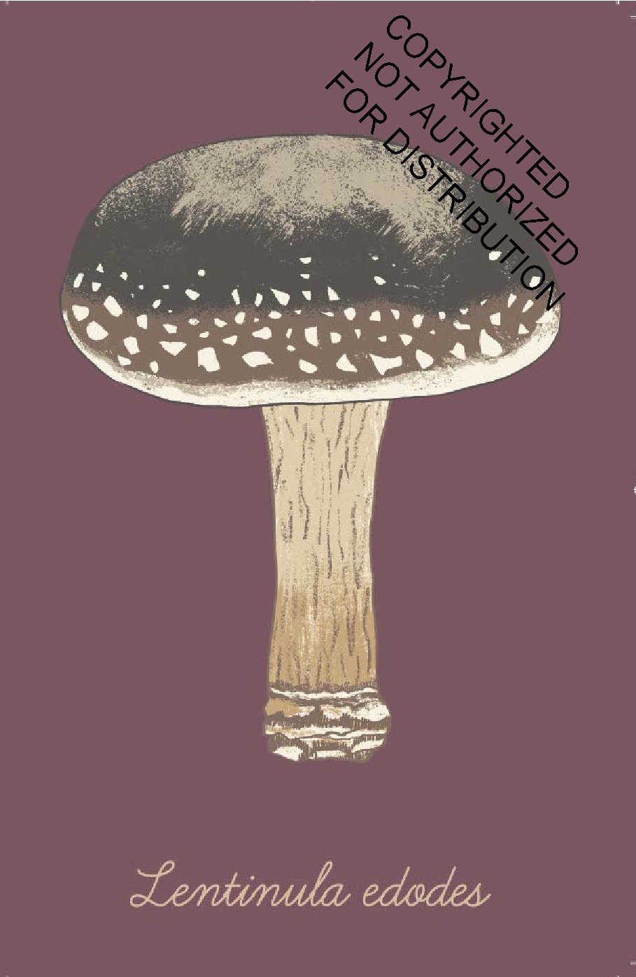 The Mushroom Compendium