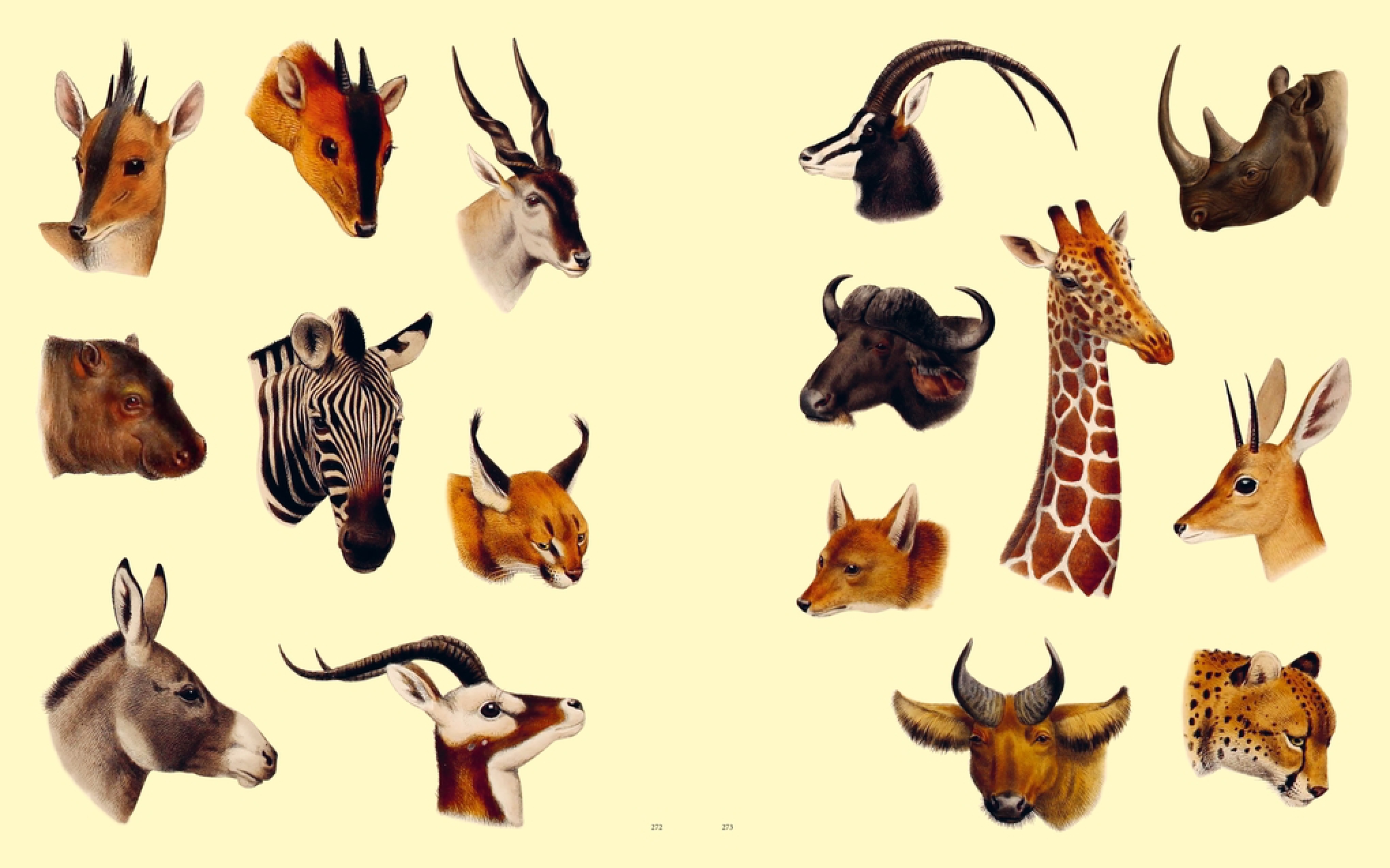 Extraordinary Things Sticker Book