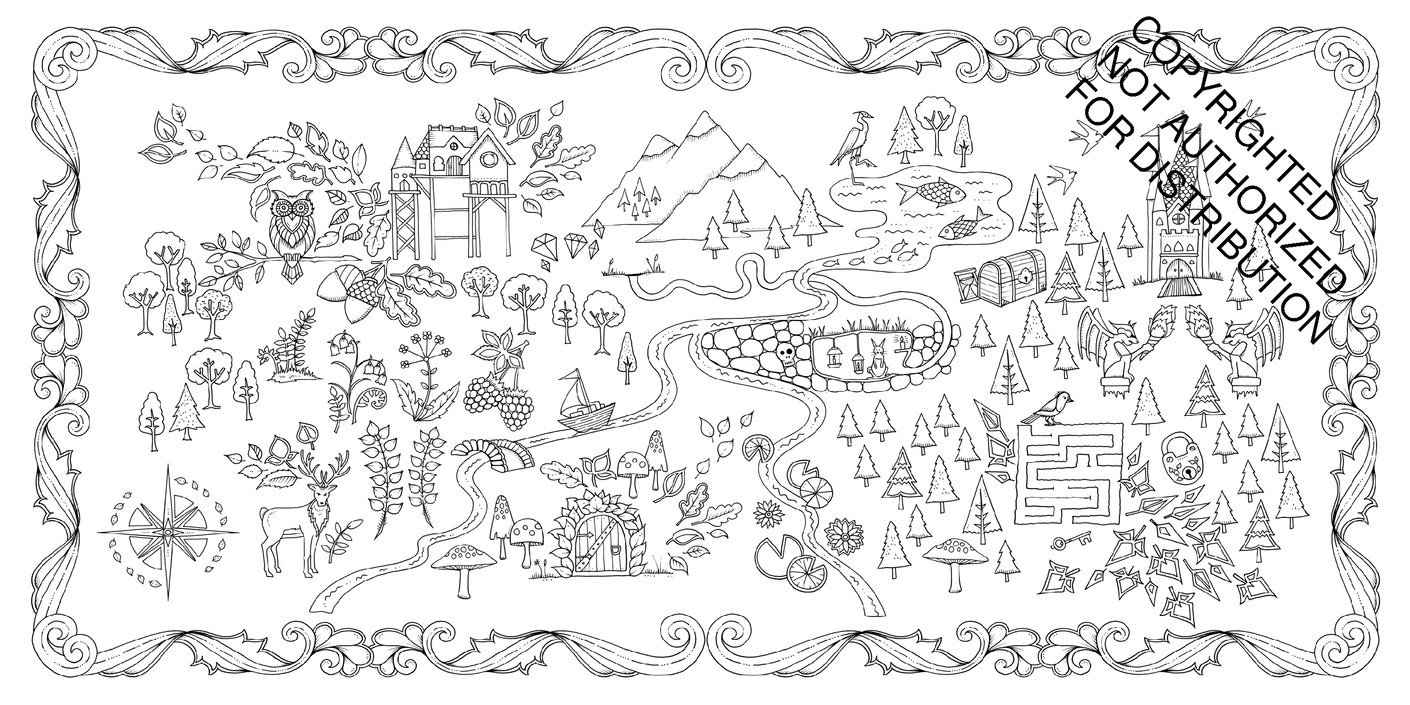 Enchanted Forest
