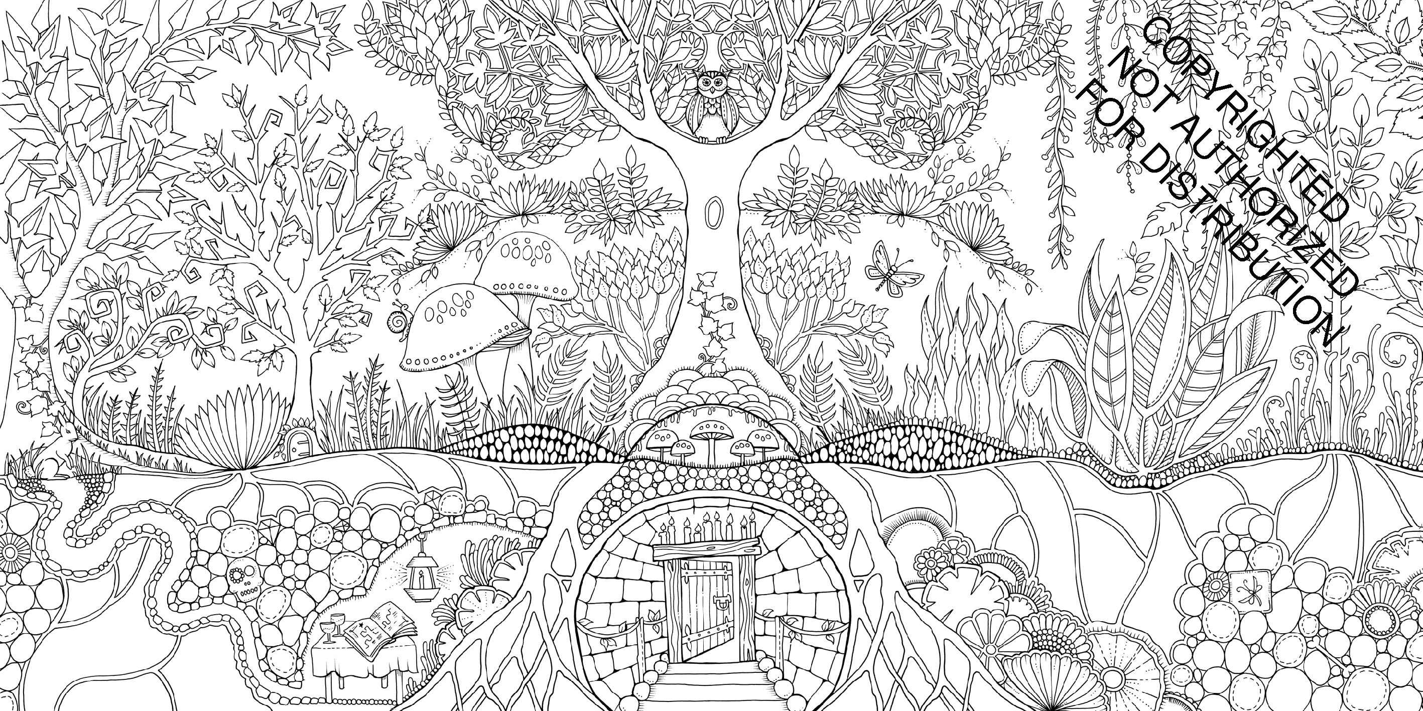 Enchanted Forest