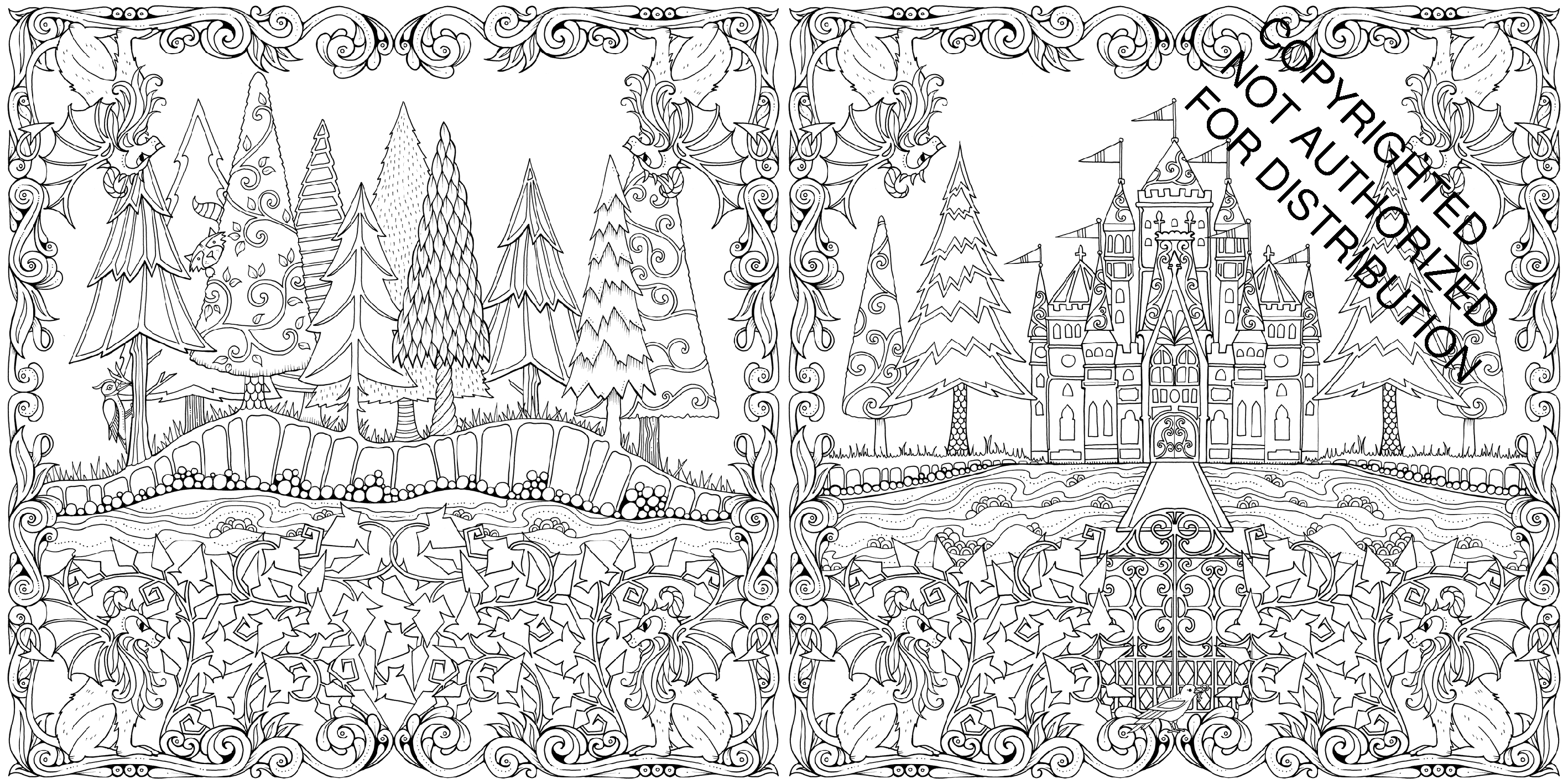 Enchanted Forest