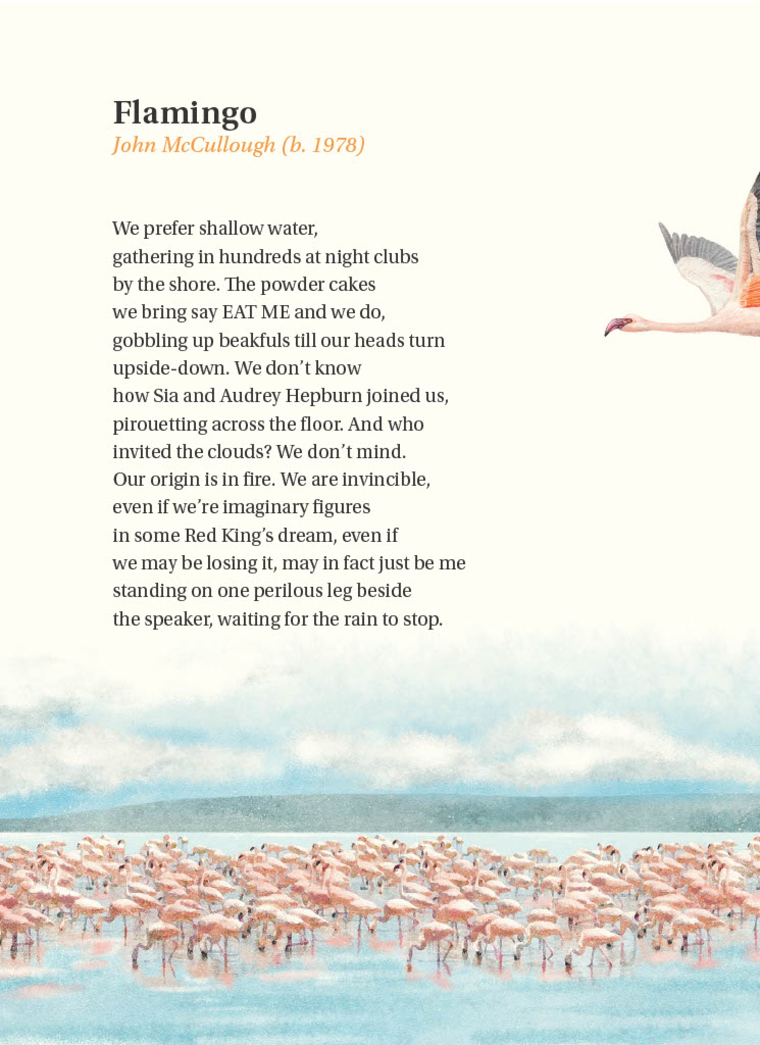 The Book of Bird Poems