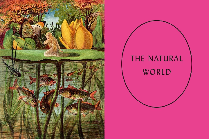 The Art of Fairy Tales